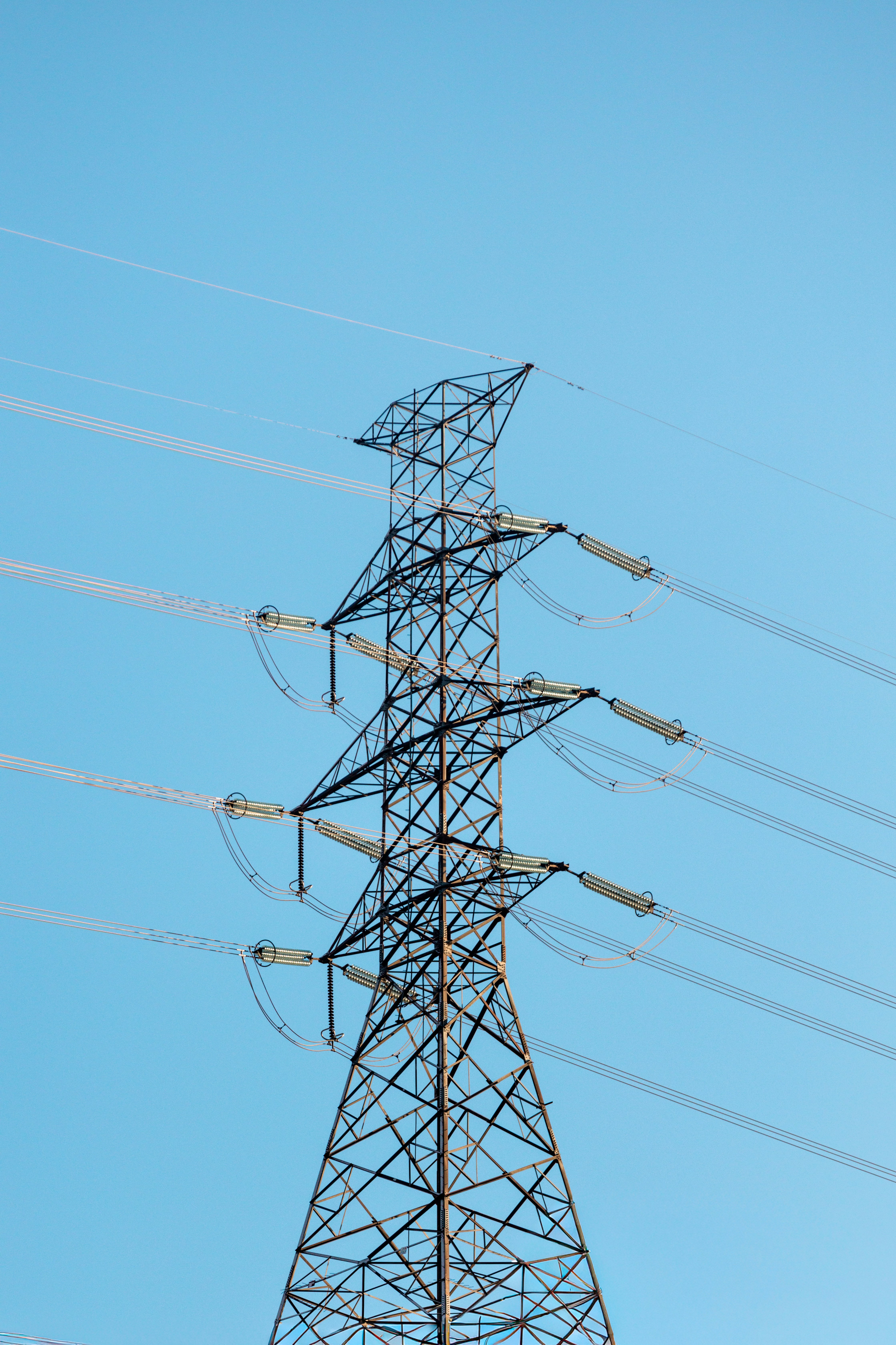 Photo by behy_studio