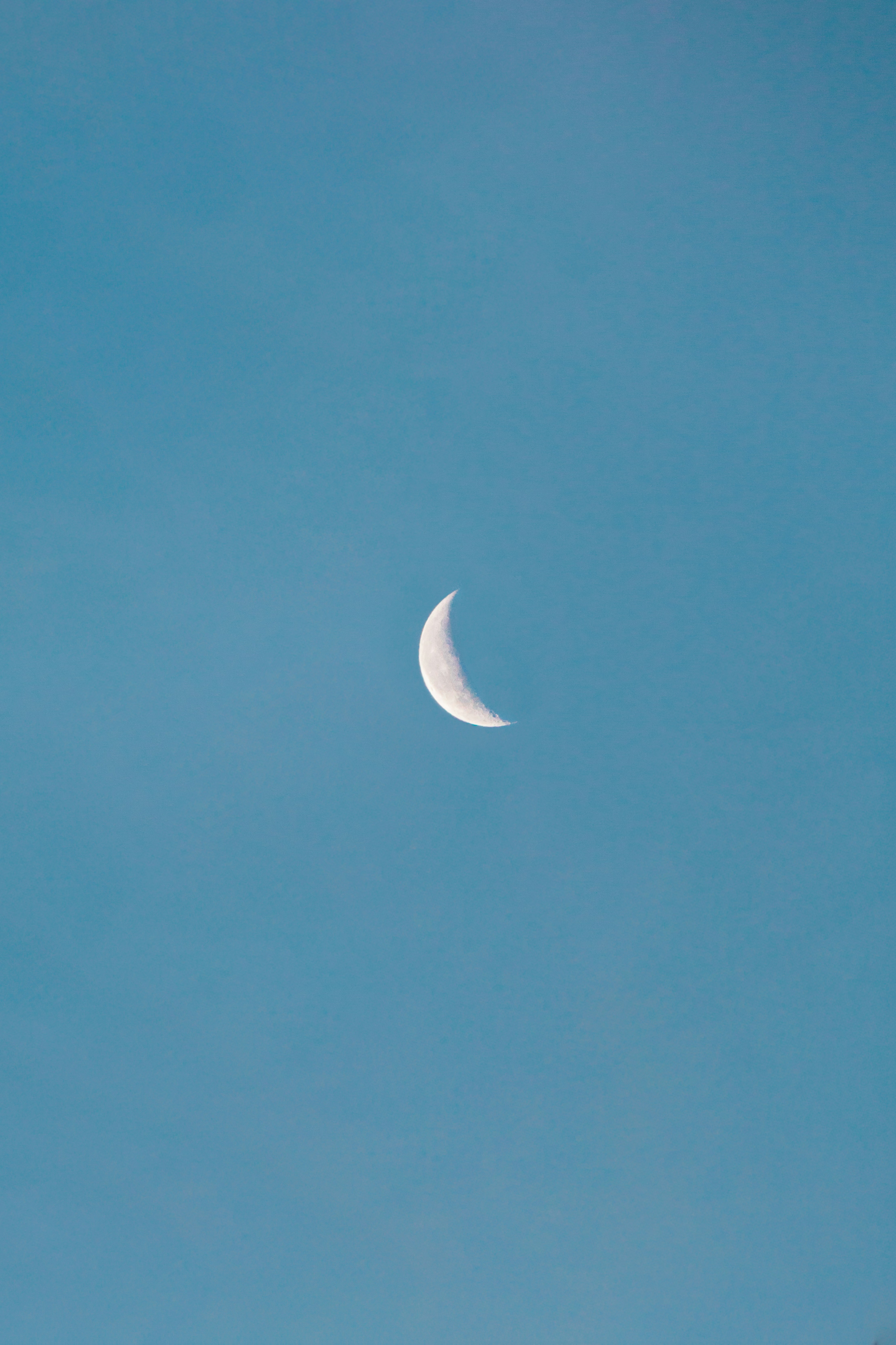 Photo by behy_studio