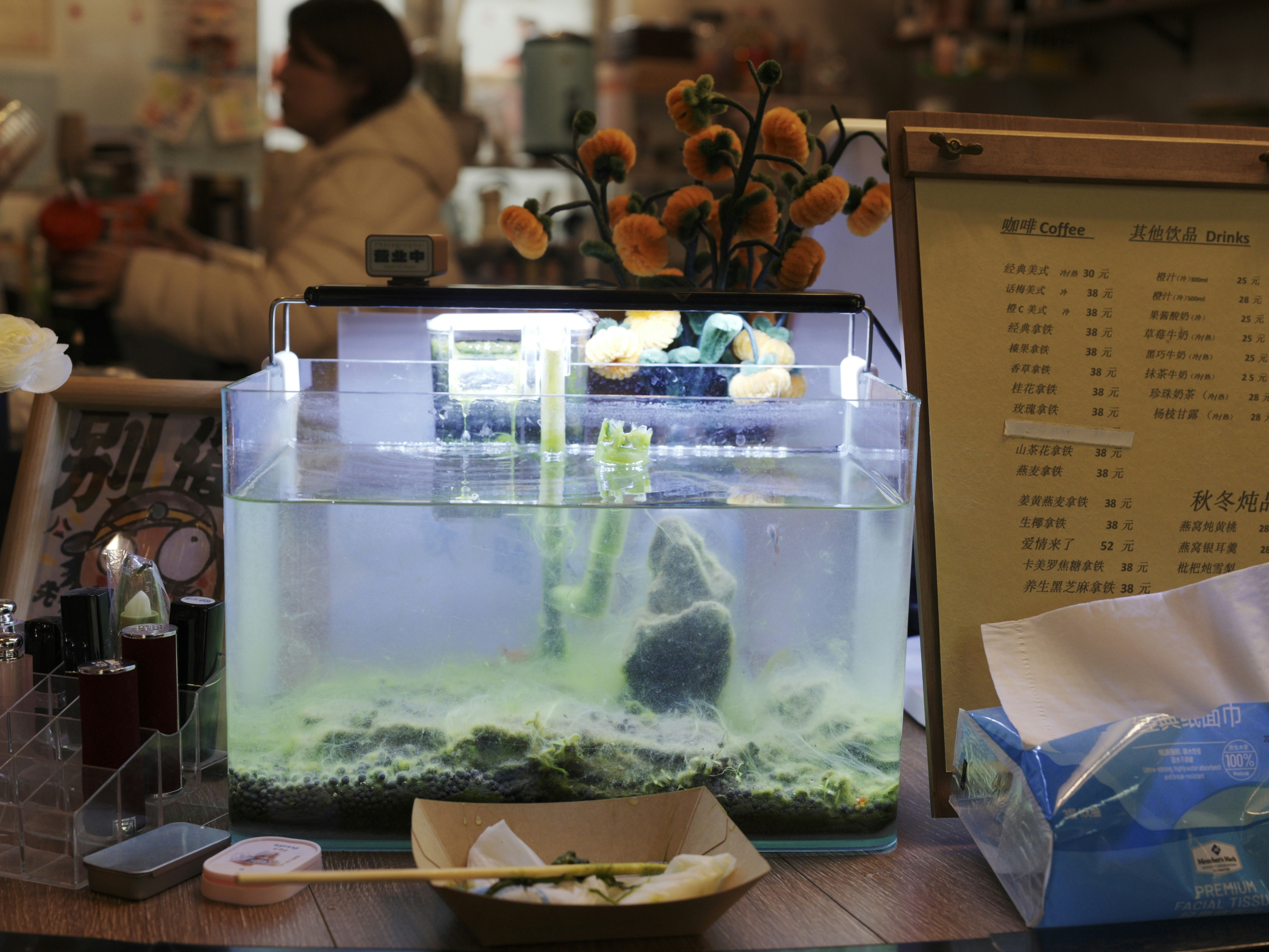 Cozy restaurant interior with aquarium