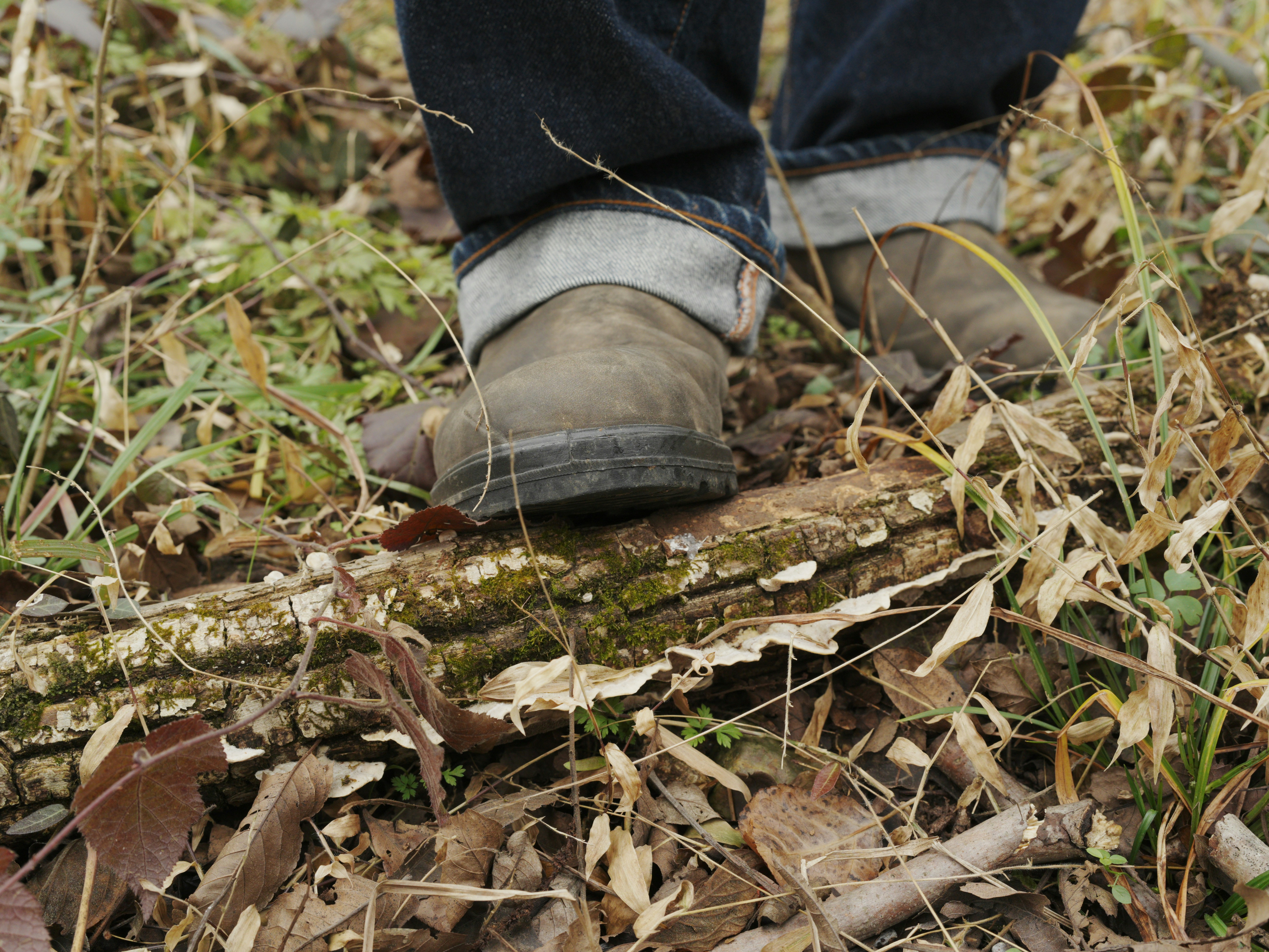 Hiking boots and trail outdoor — BroadToeBox