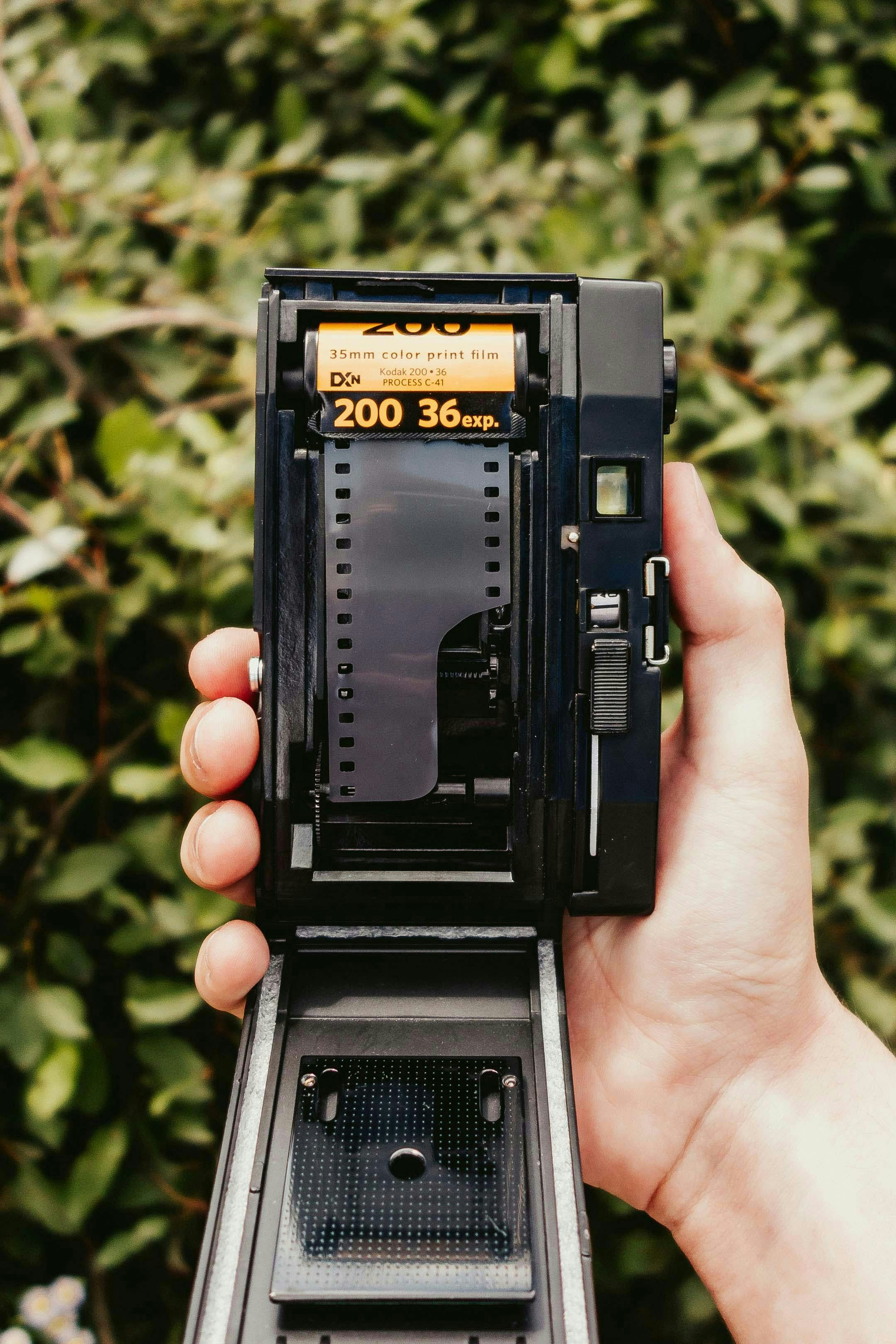 Photo by sanjibgautamchetry