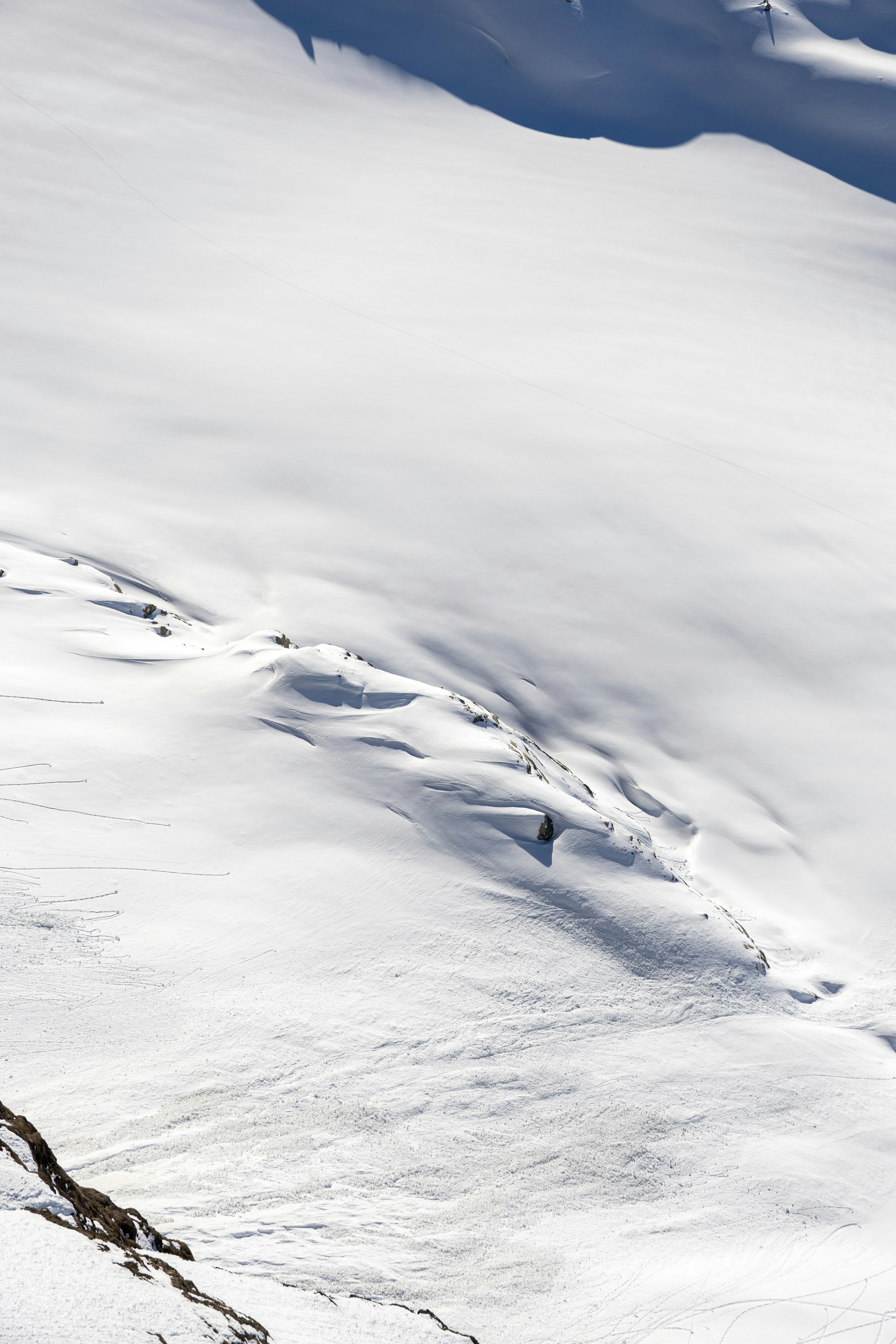 Photo by stockbirken