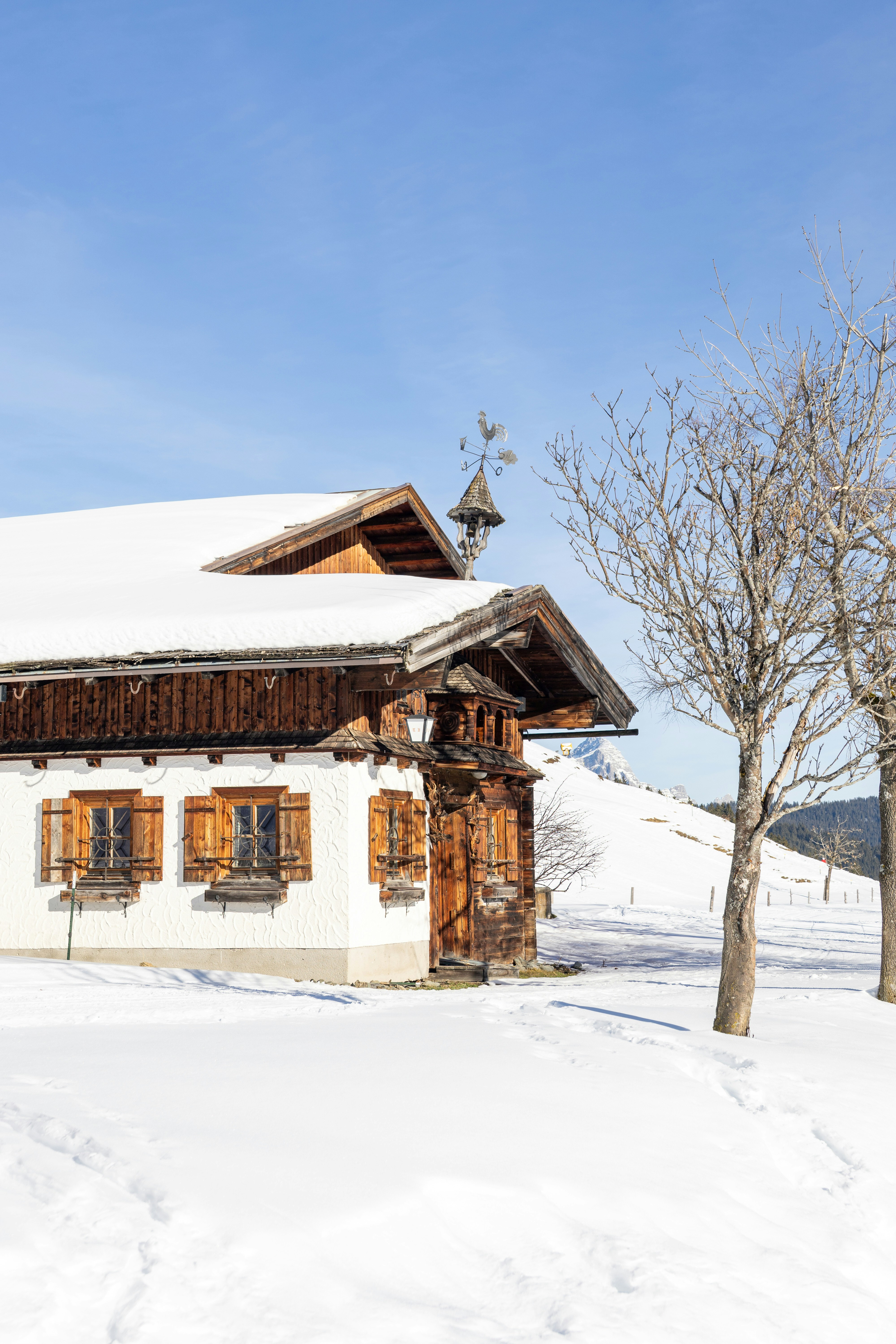 Photo by stockbirken