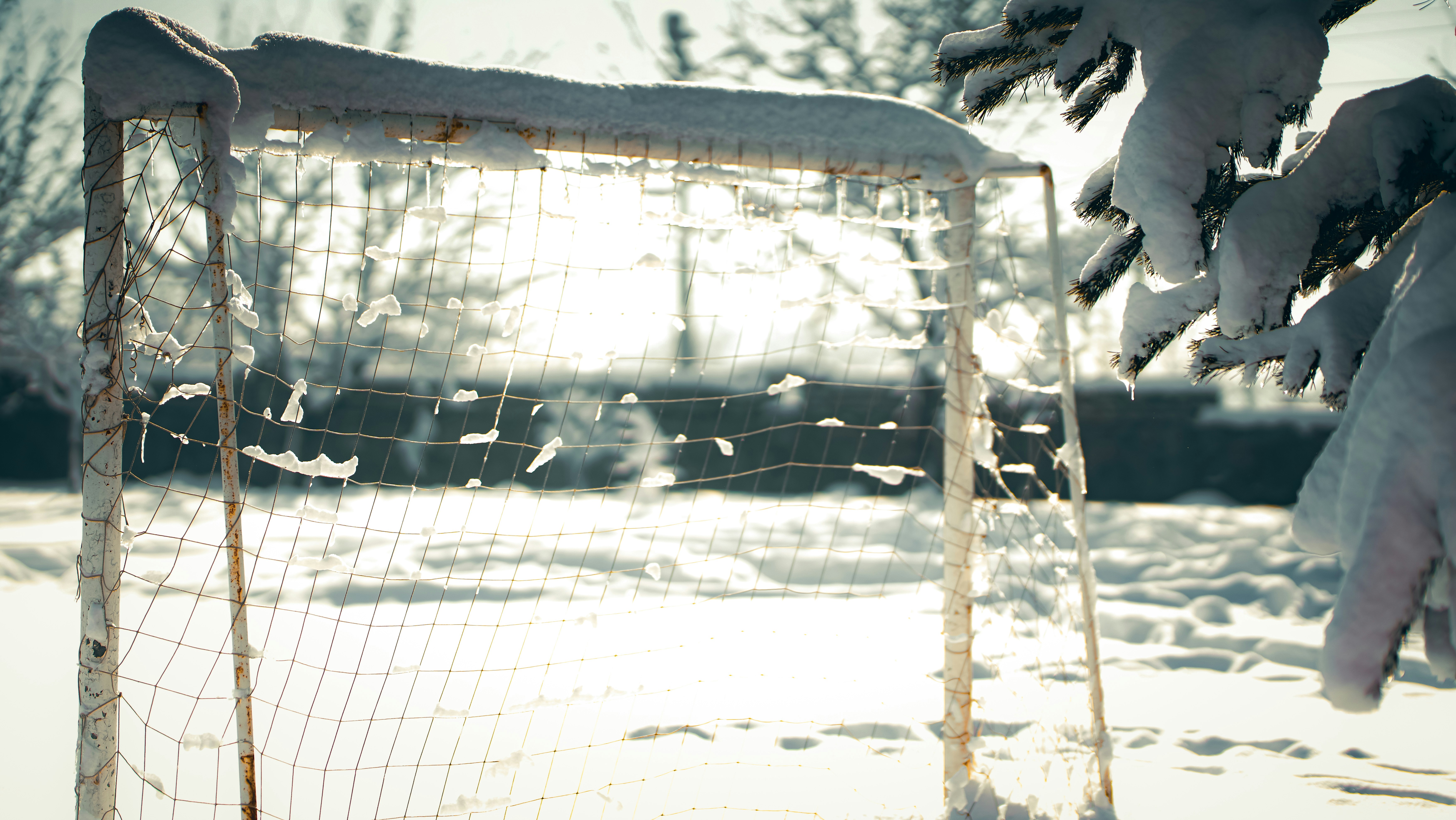 seasonal sports