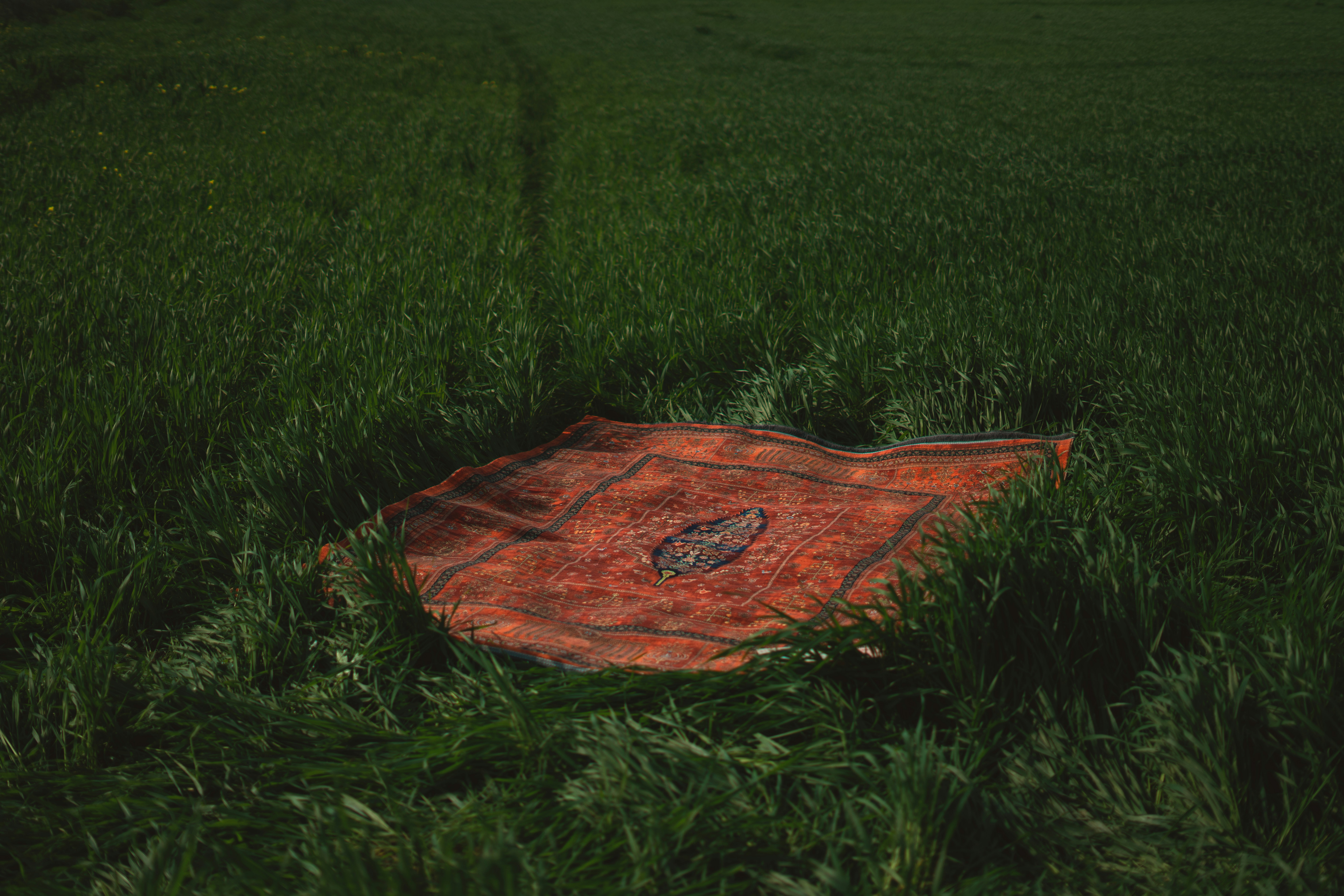 Photo by asalltorabi