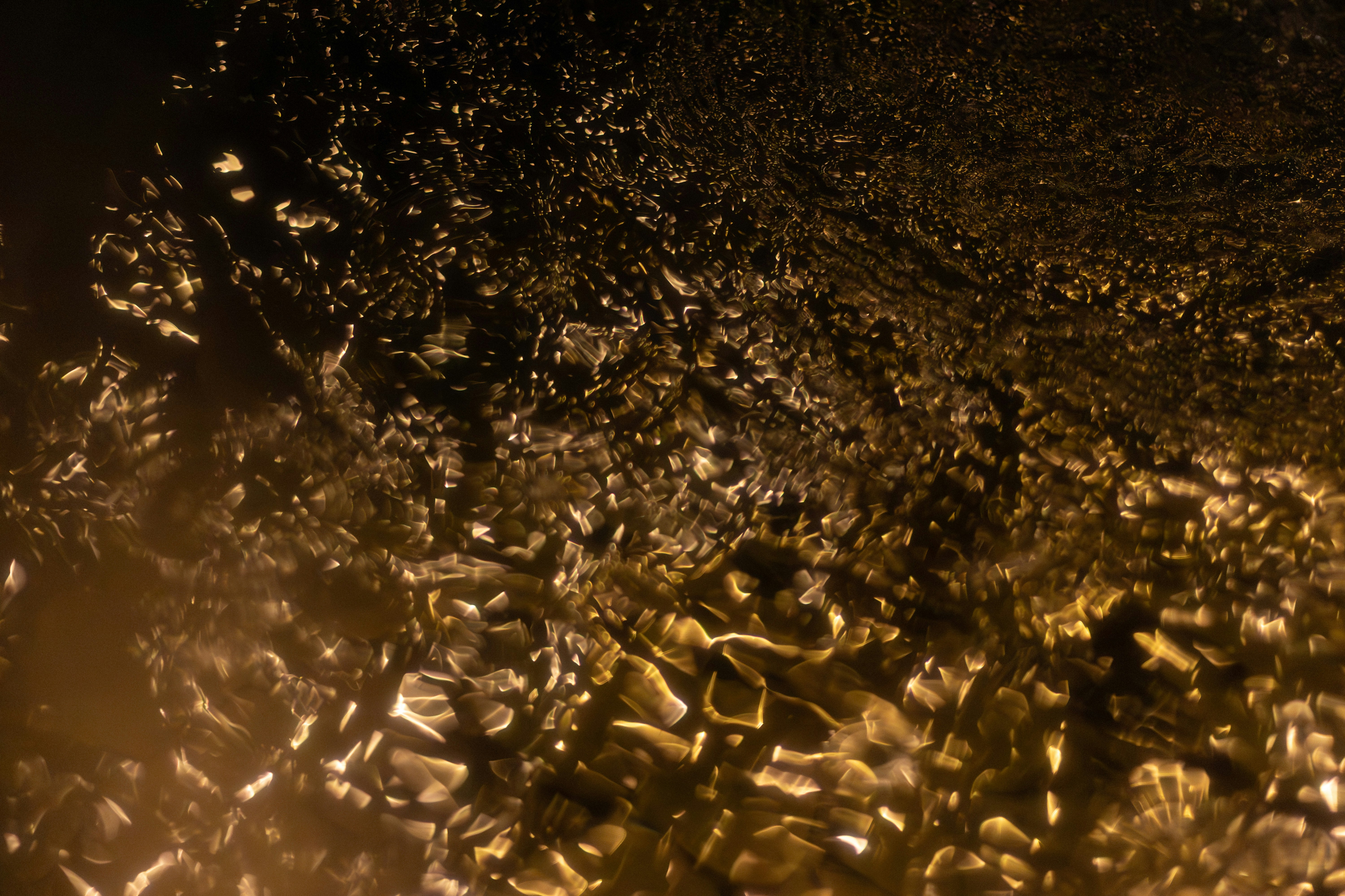 Photo by filipenobre