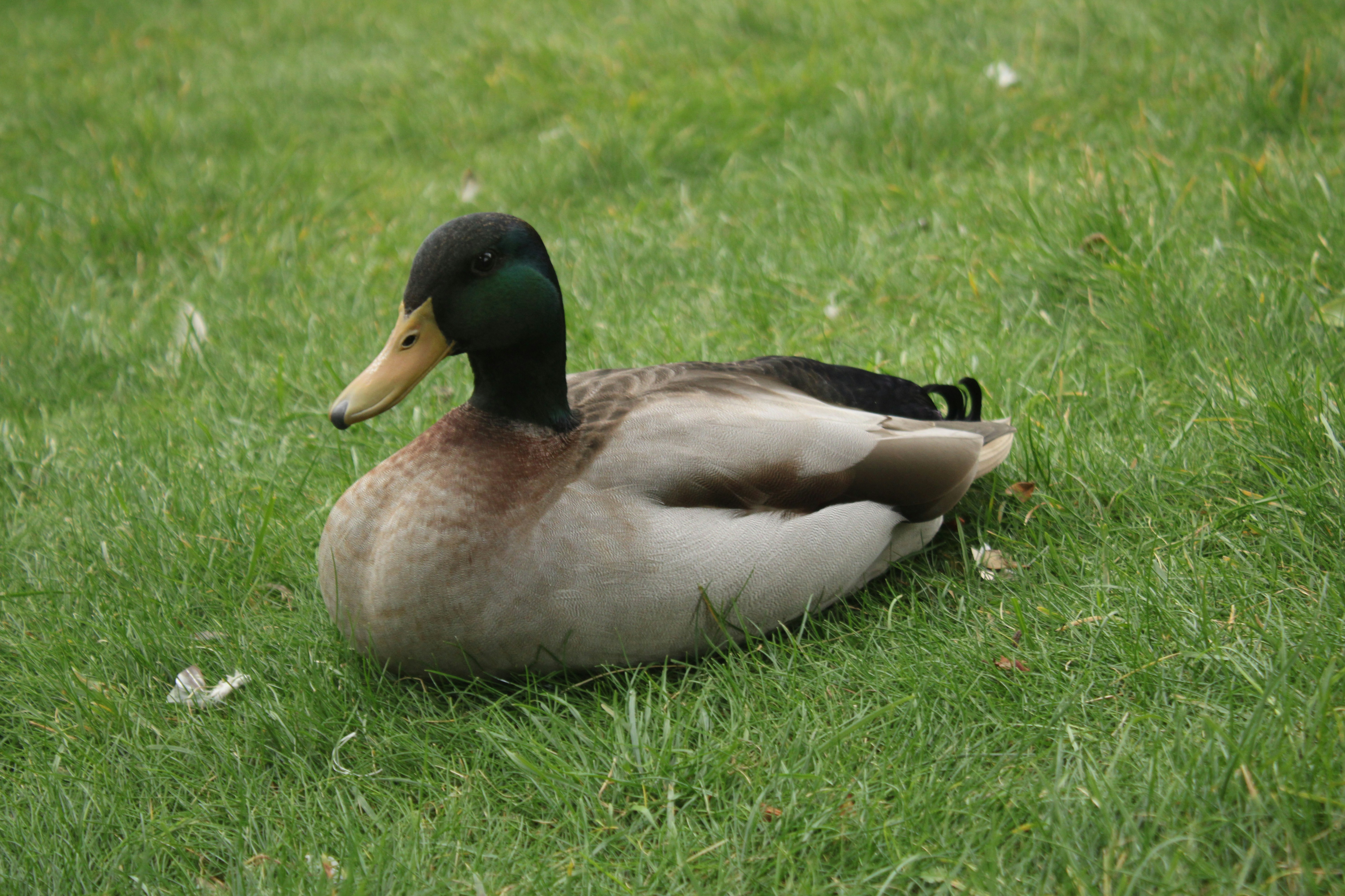 Photo by waterandfire863