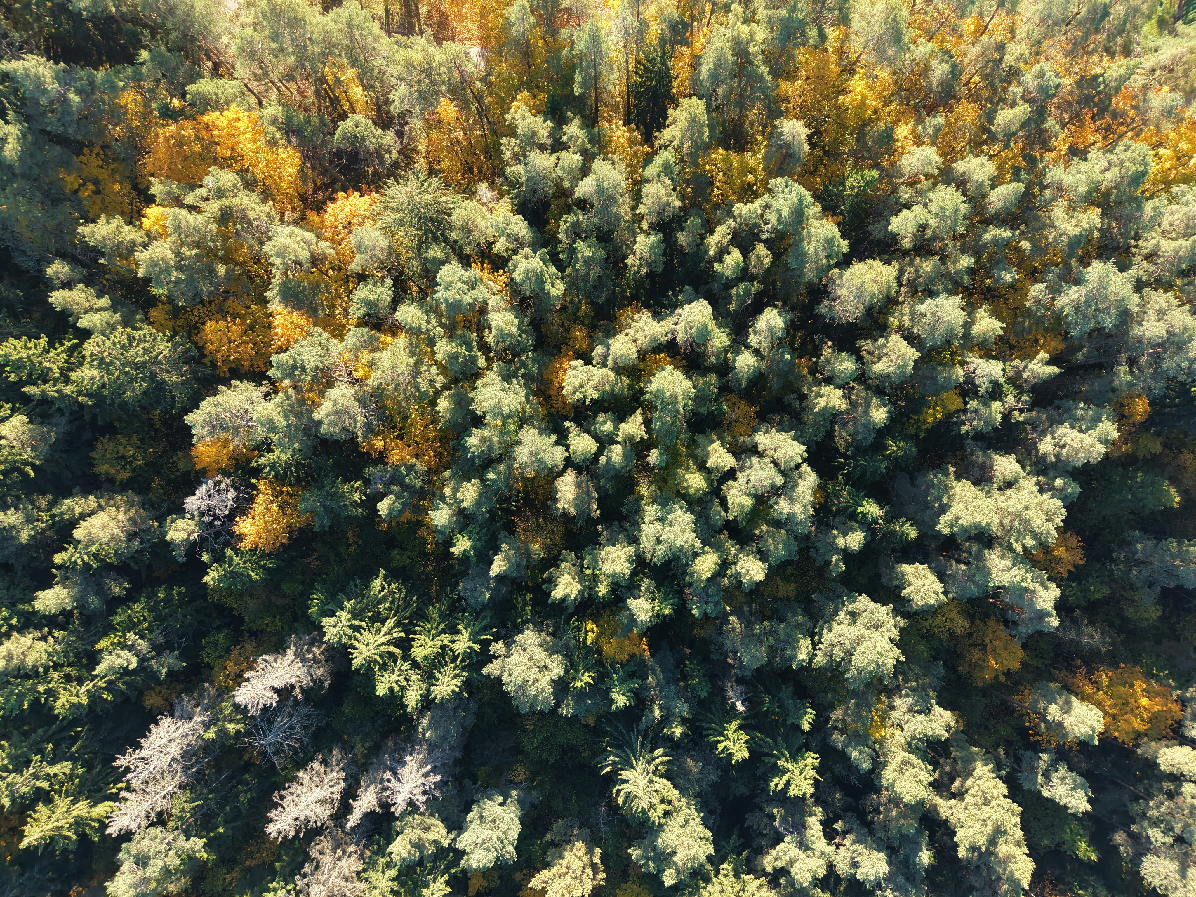 Photo by sandiskovalyovs