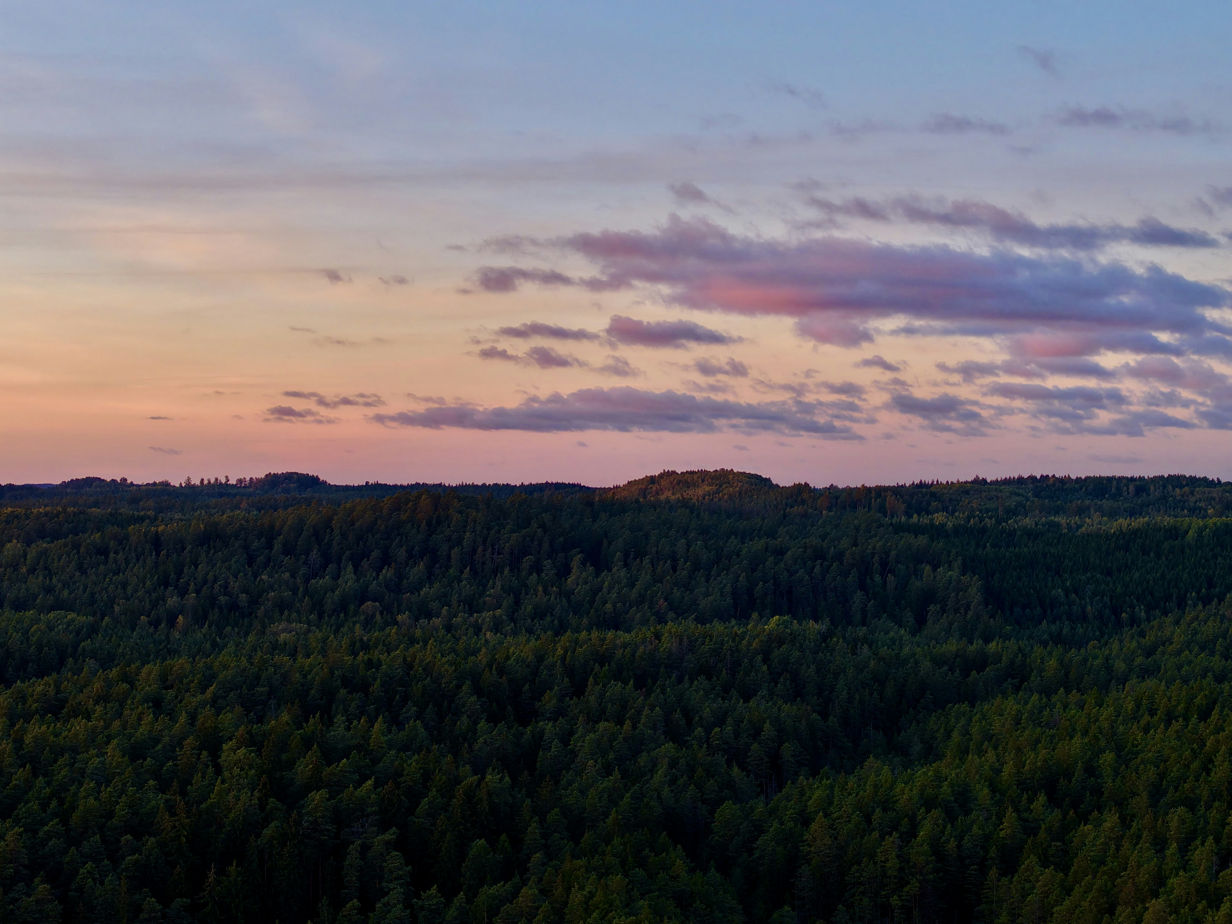 Photo by sandiskovalyovs