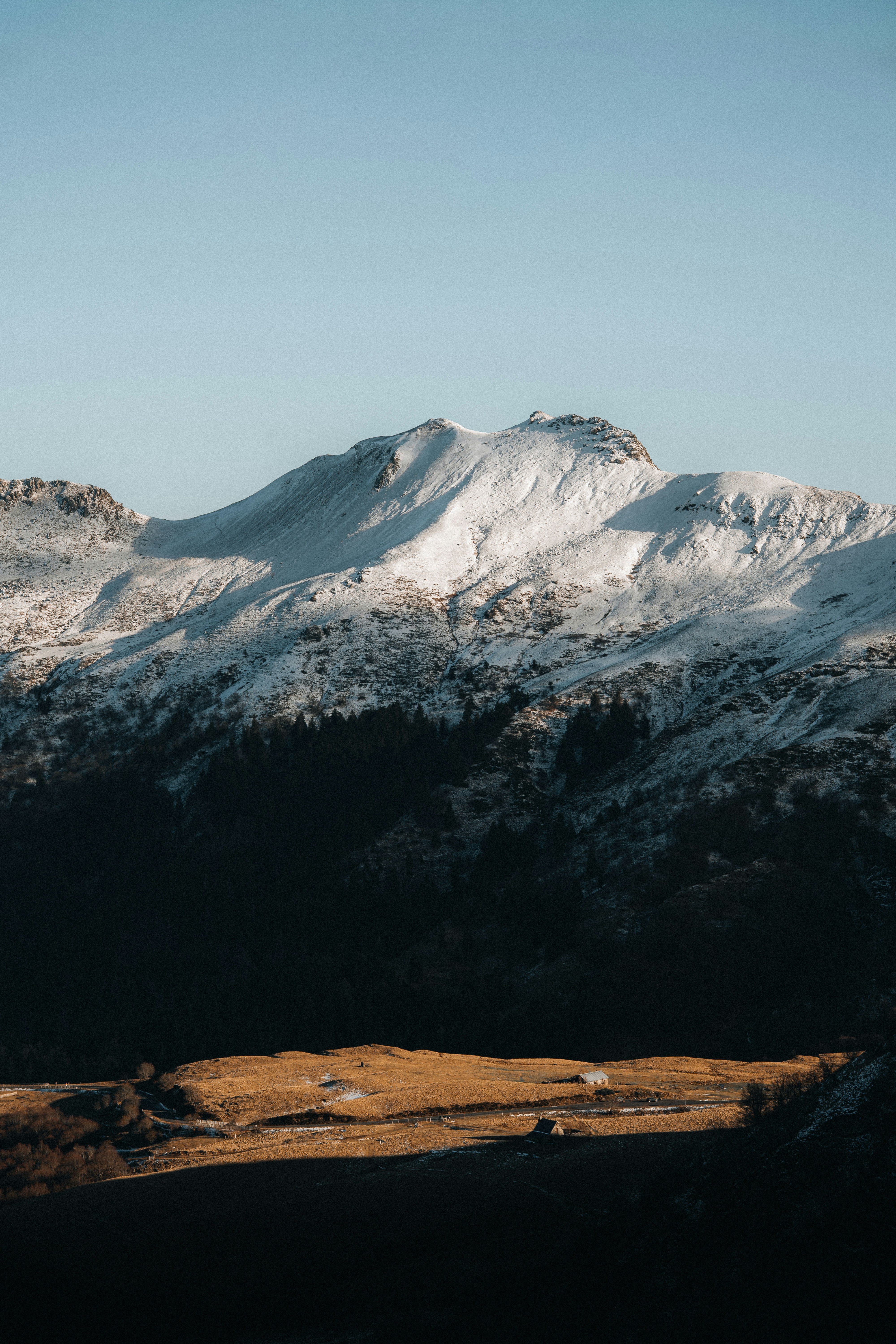 Des montagnes enneigées s’élèvent au-dessus d’une prairie ensoleillée.