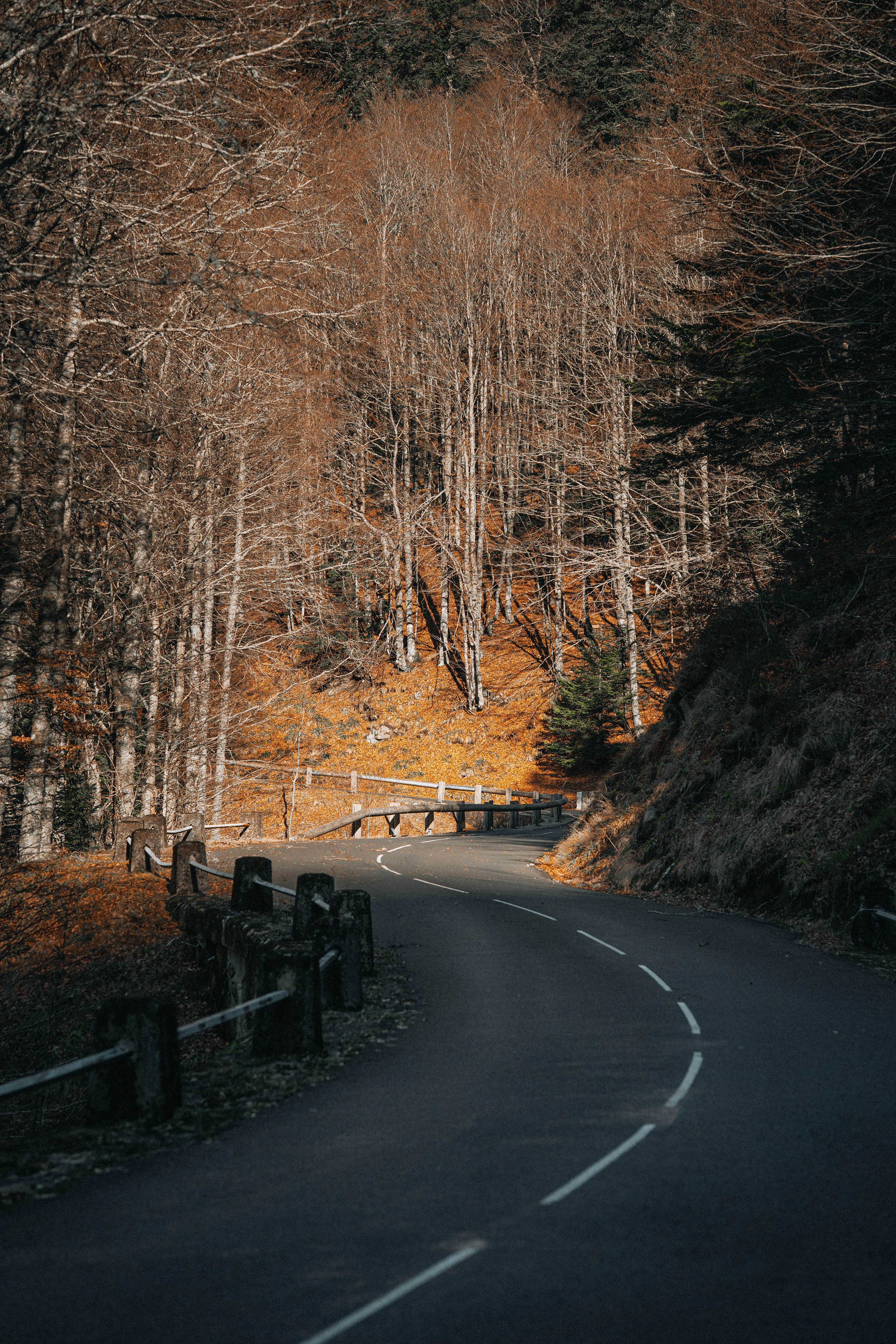 Photo by benjamin_photo_lab