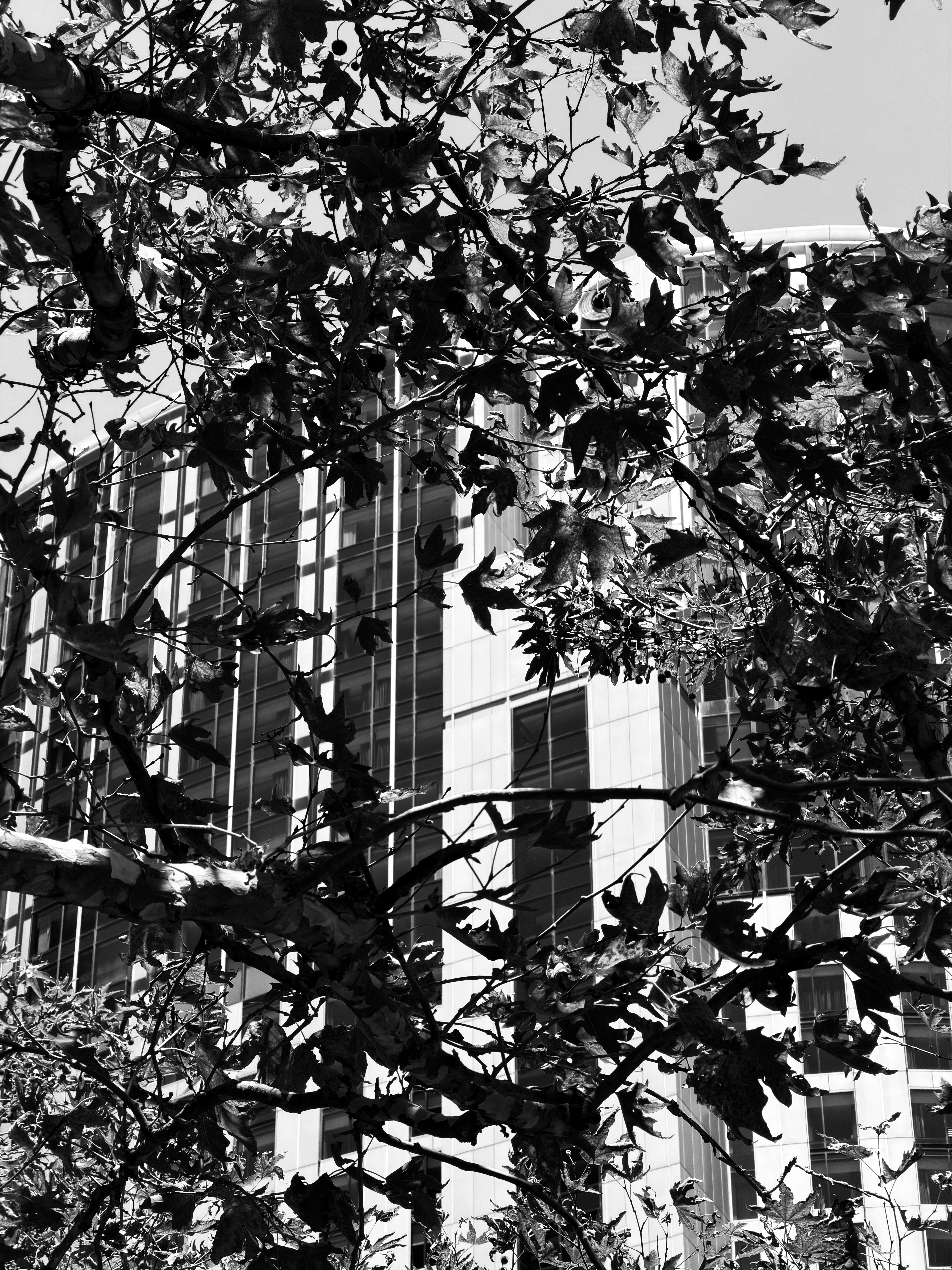 Photo by thedrinkbreak