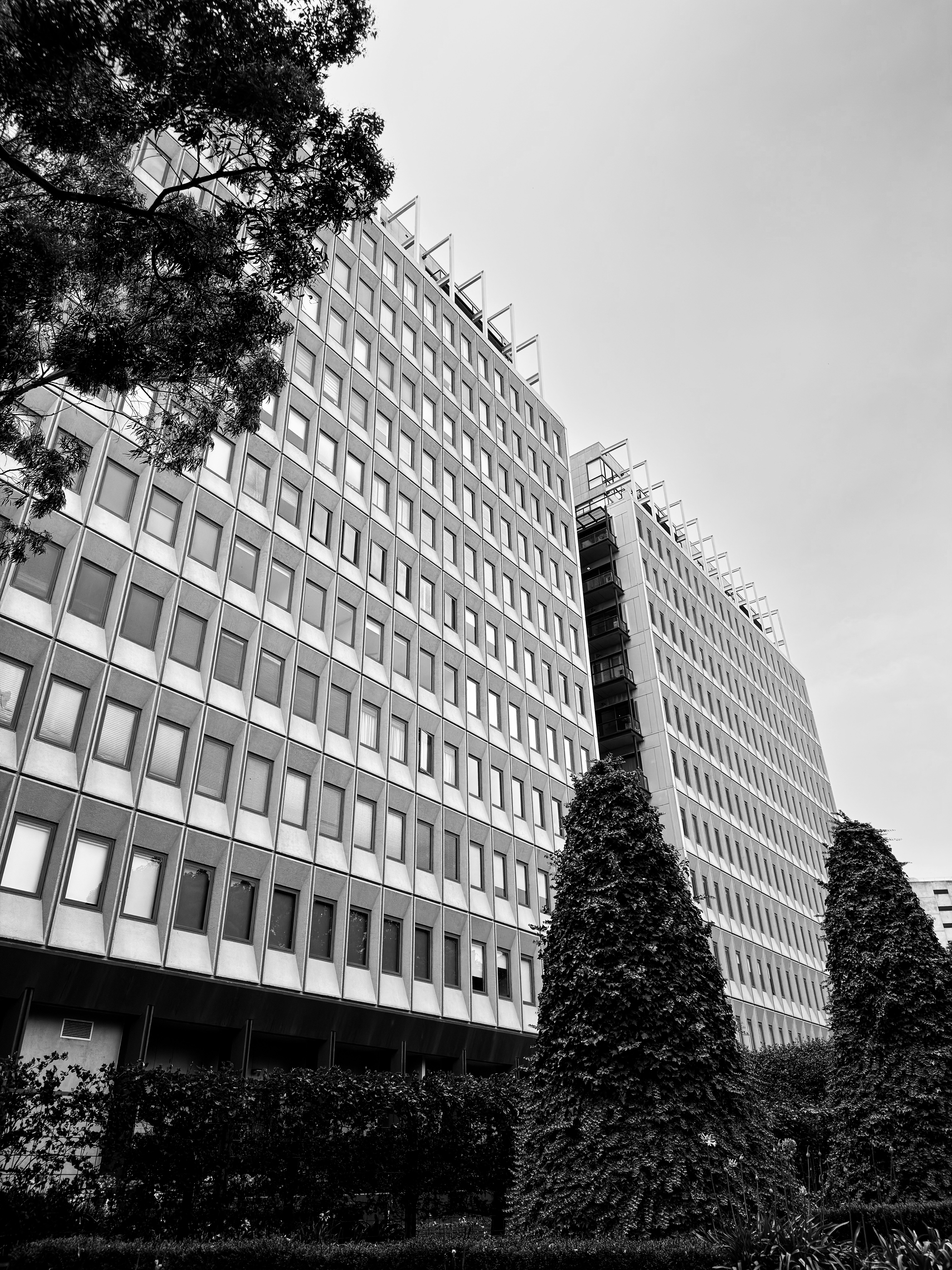 Photo by thedrinkbreak