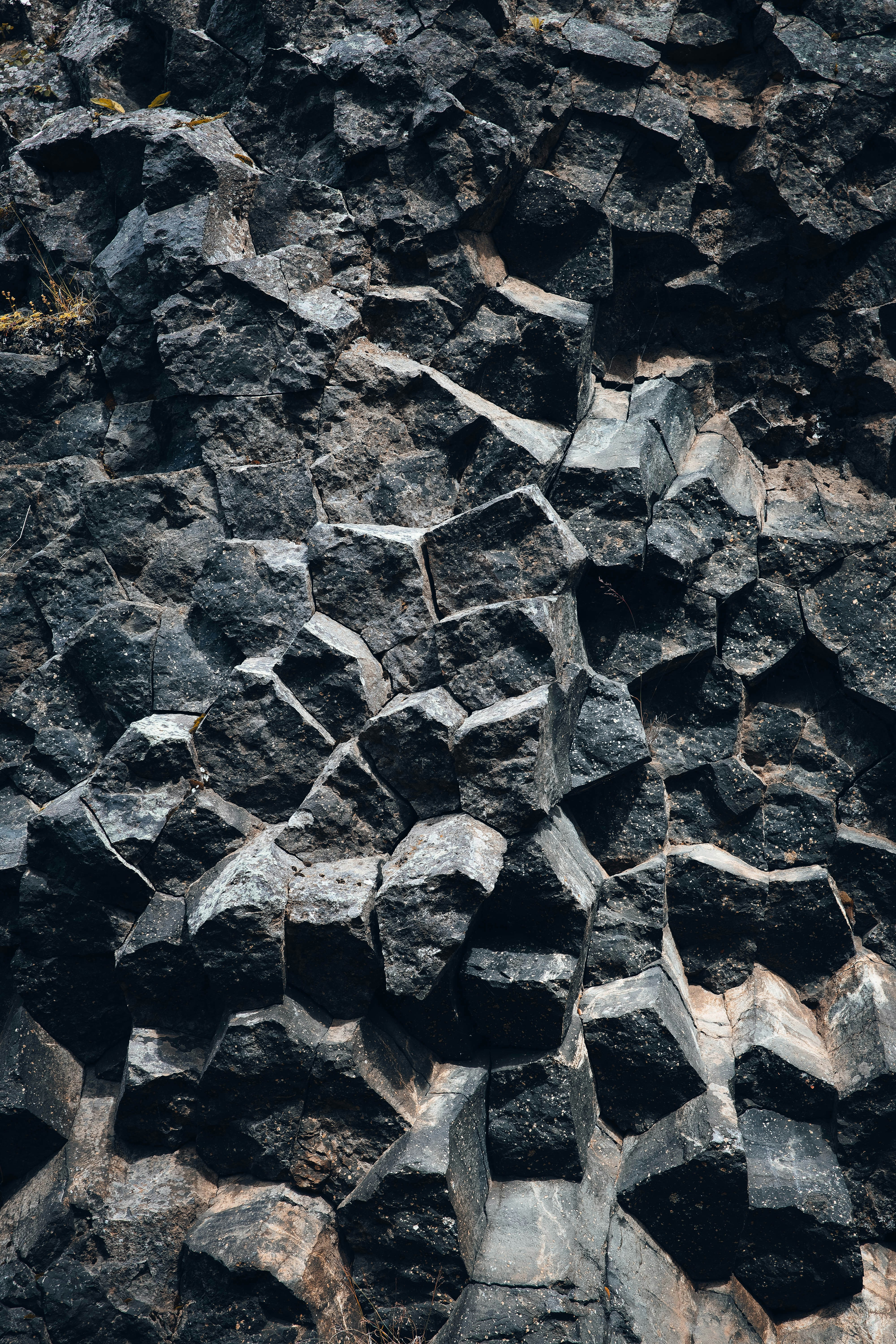 Photo by danny_rienecker