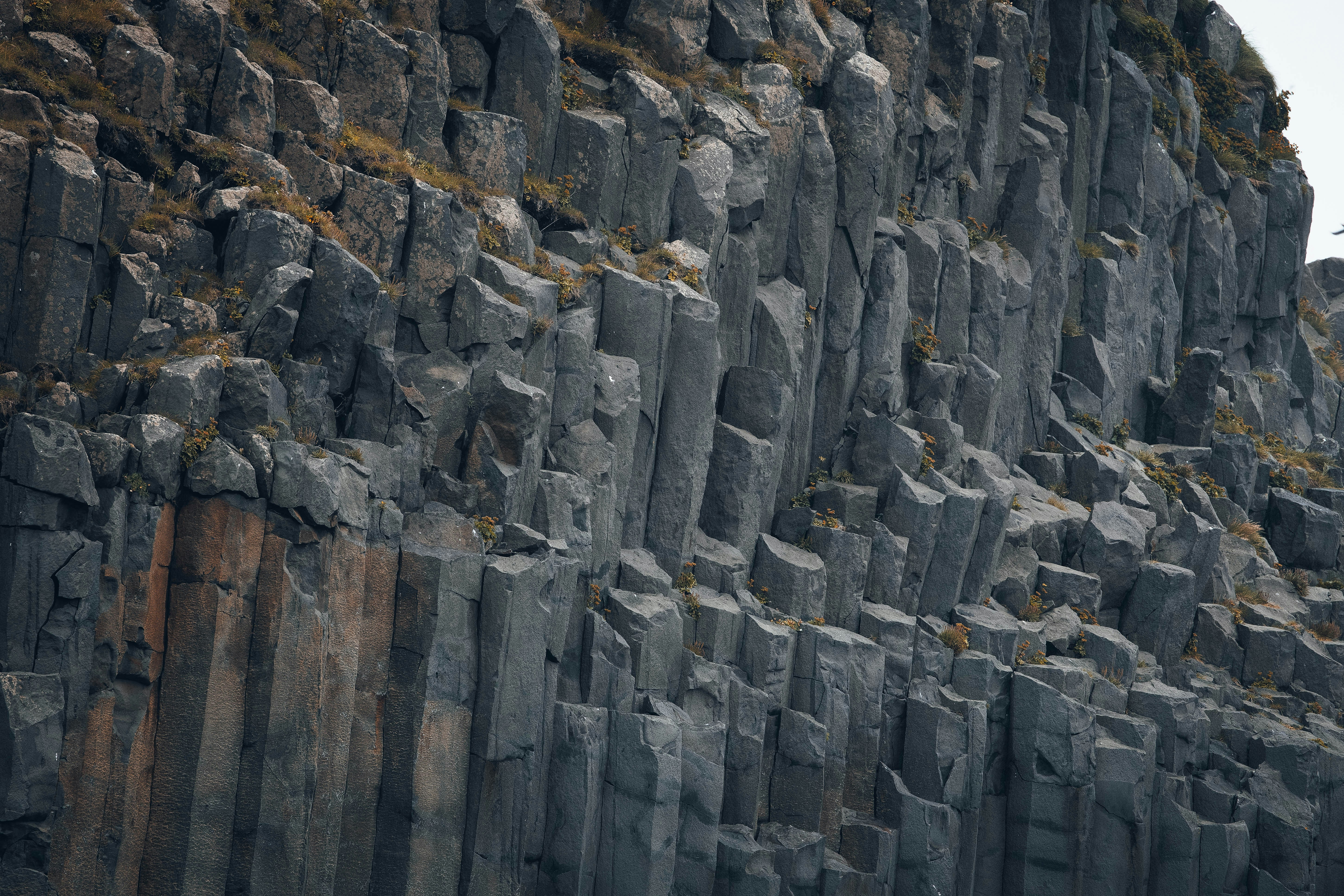 Photo by danny_rienecker