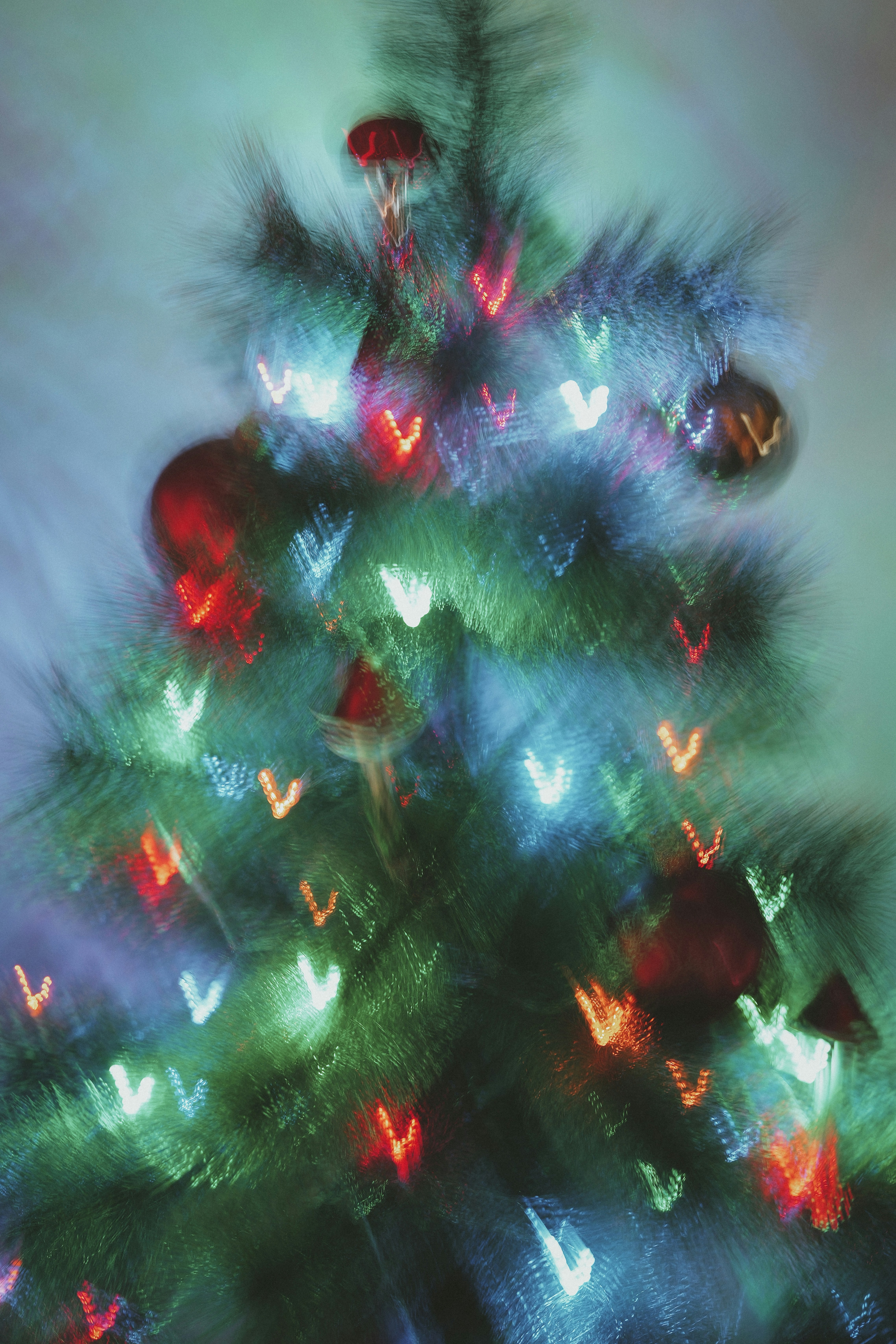 A blurry christmas tree with heart-shaped lights.