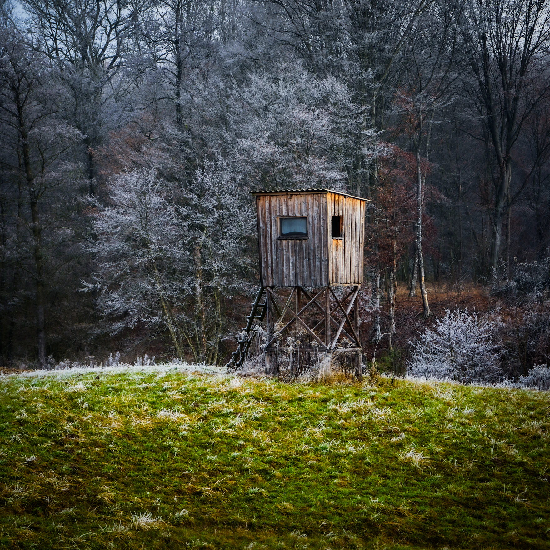 Hunting Gear & The Deer Stand