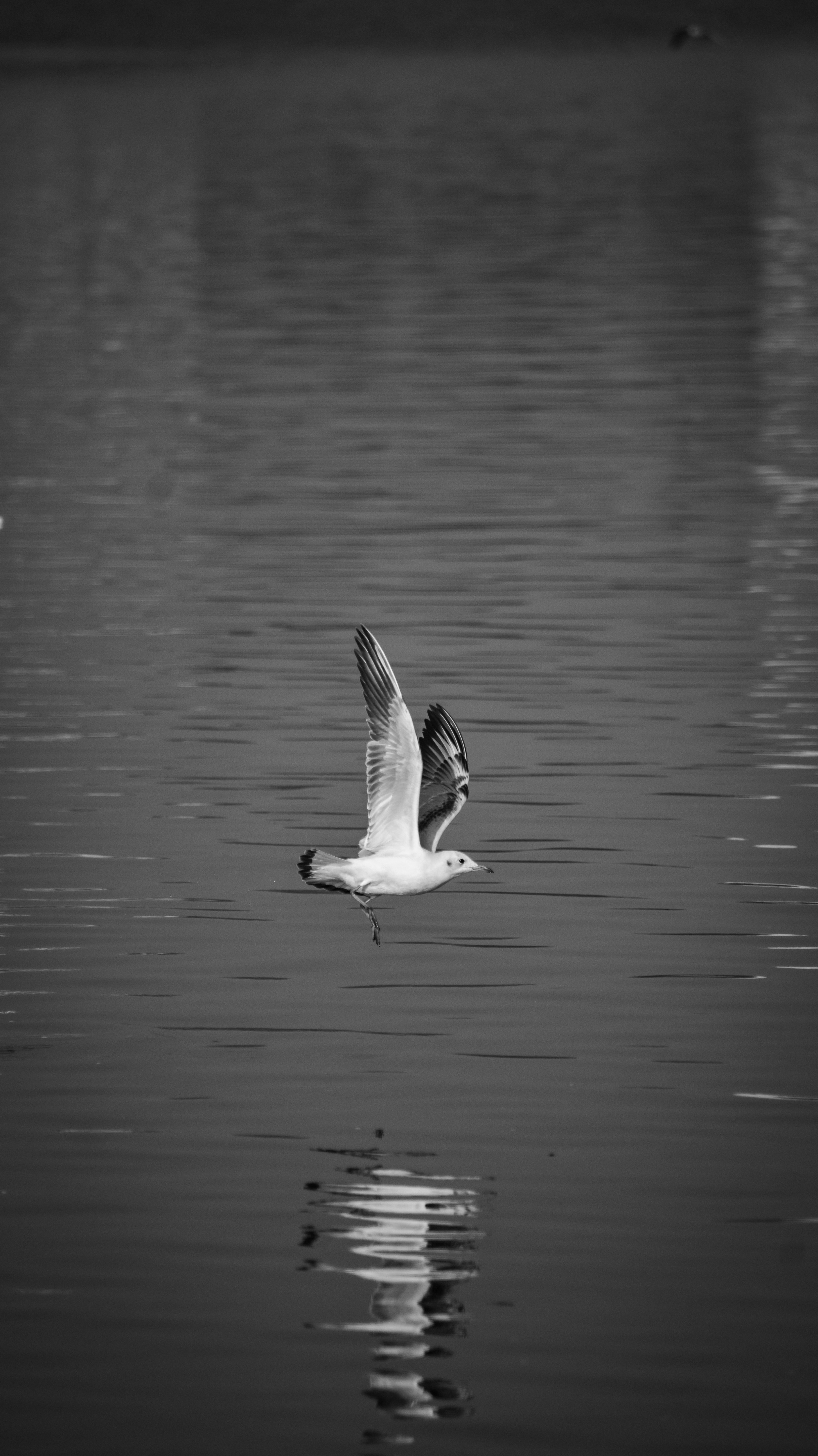 Photo by kalakriti_productions