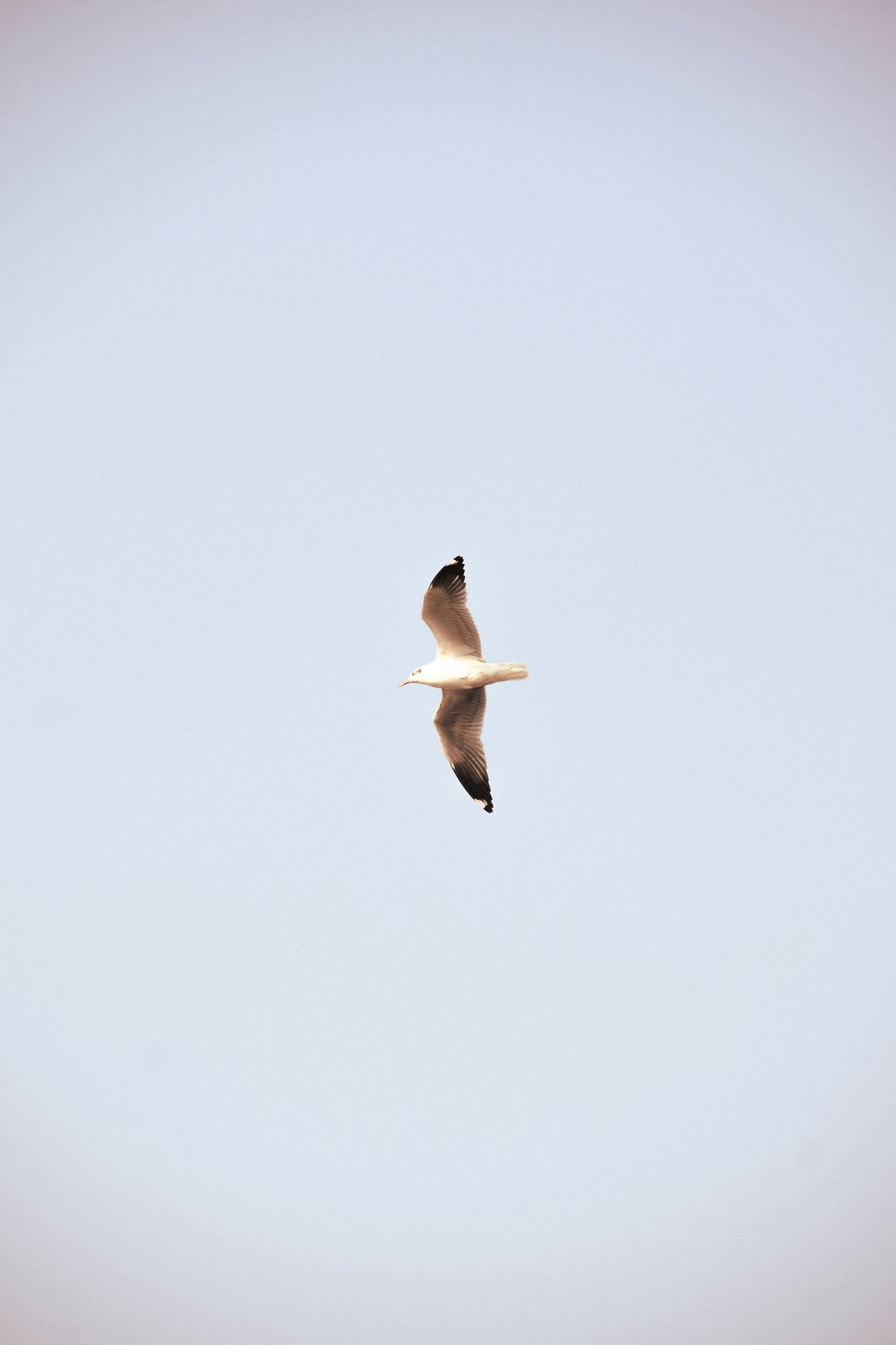 Photo by kalakriti_productions