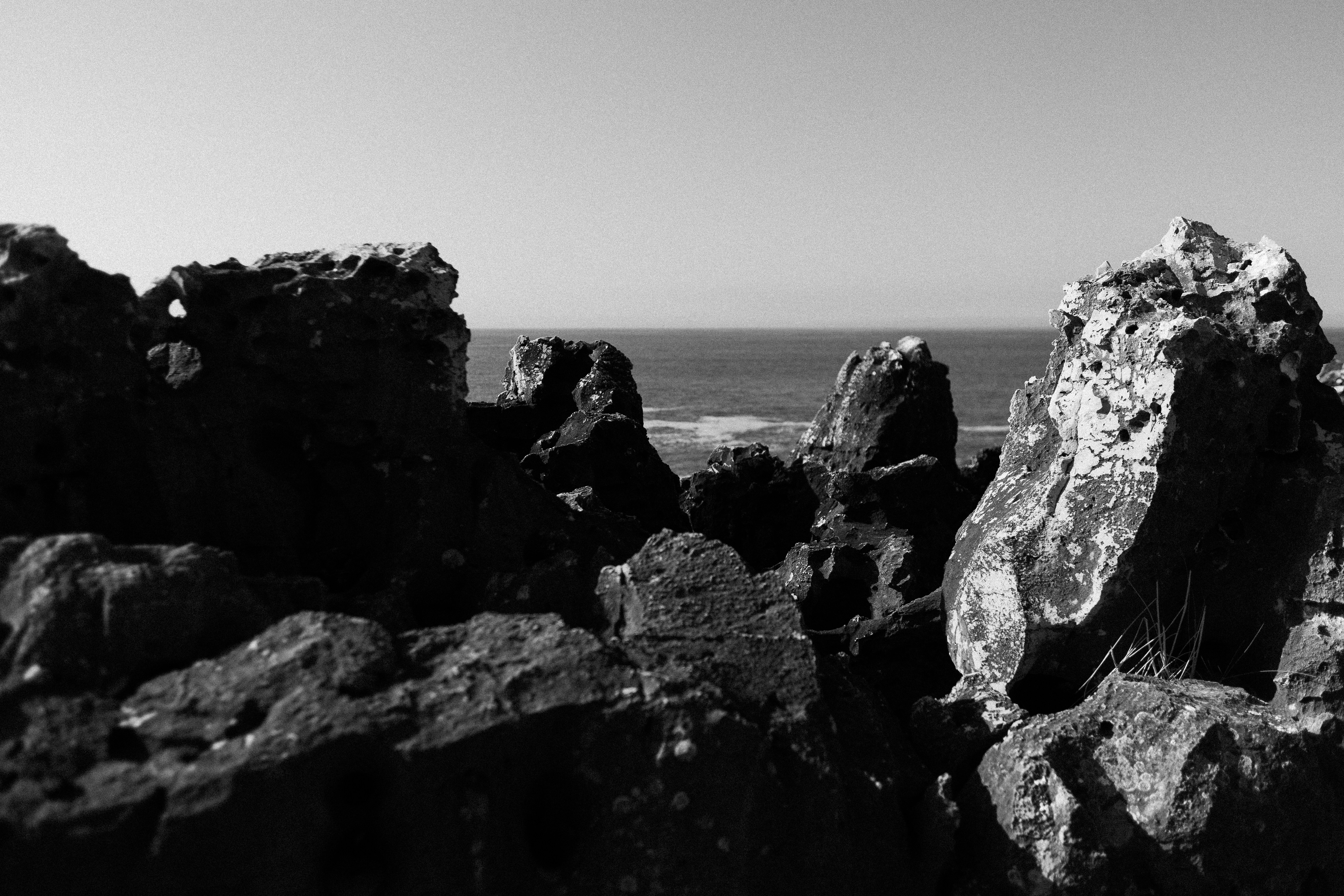 Photo by alefedangelo