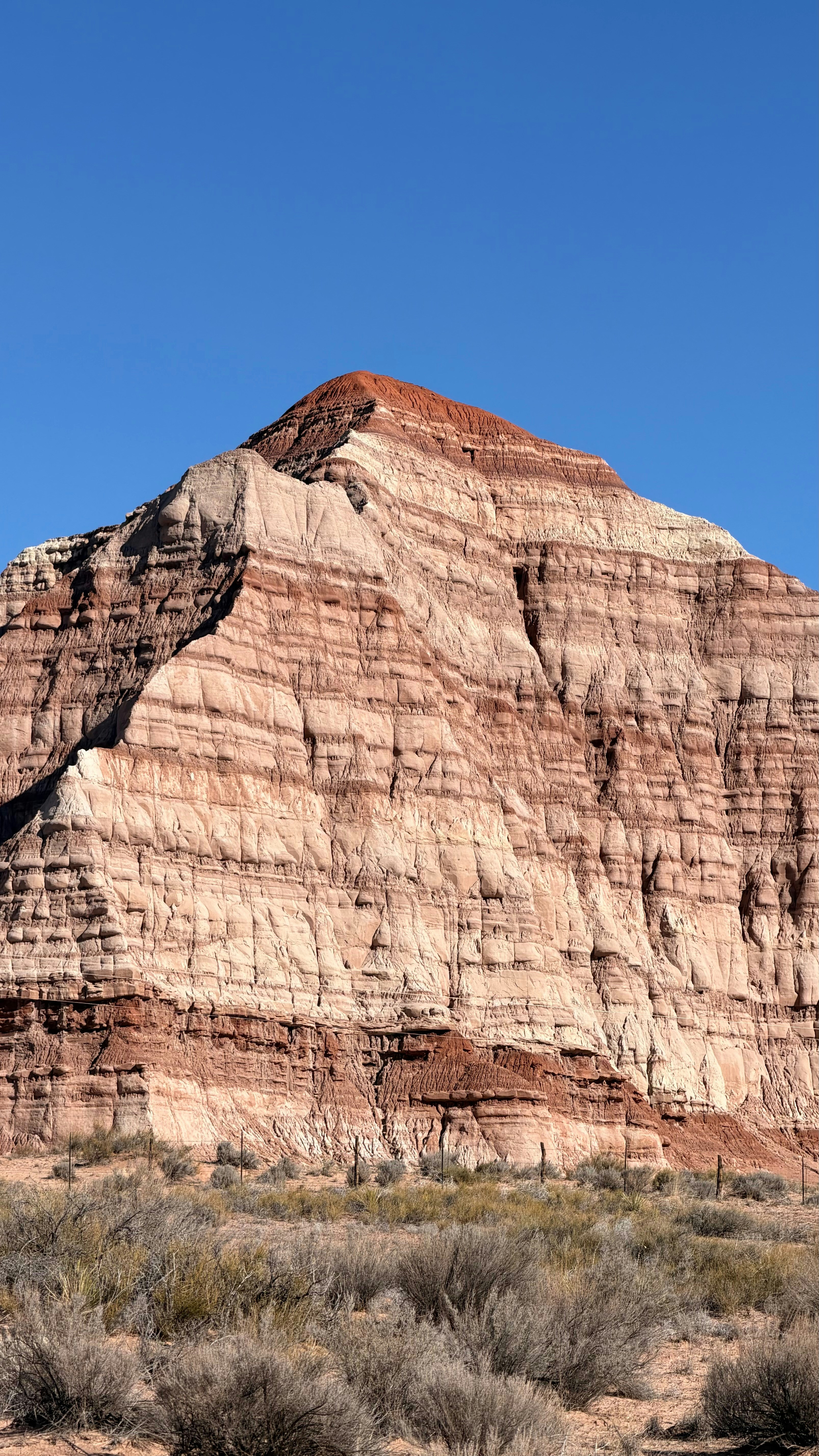 Photo by surgicalshark