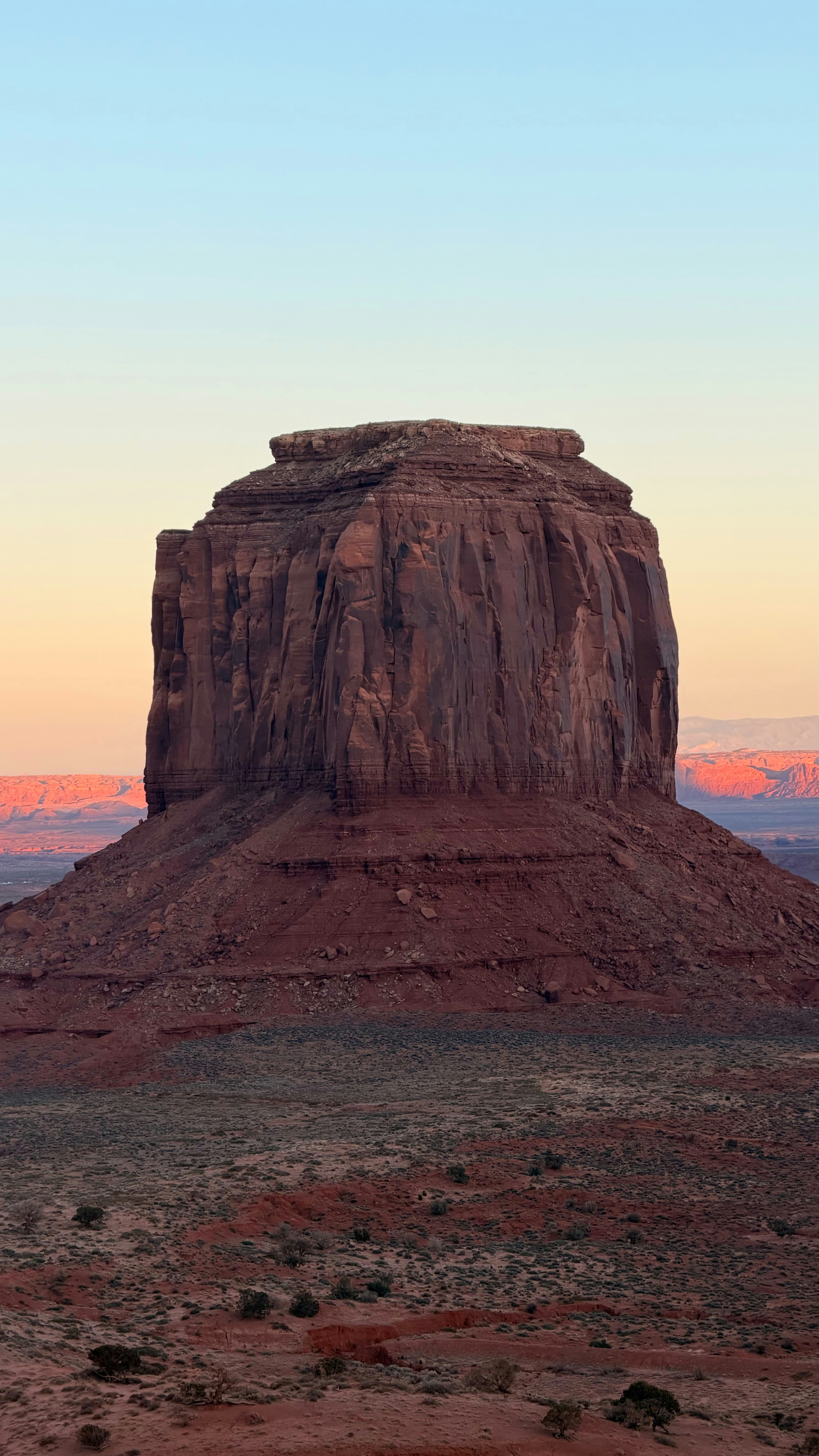 Photo by surgicalshark