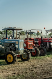 Three vintage tractors parked outdoors on a sunny day.