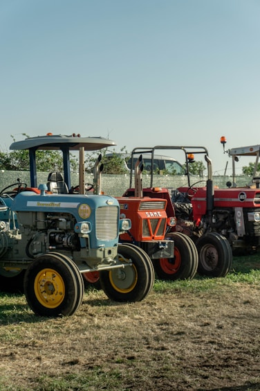 Three vintage tractors parked outdoors on a sunny day.