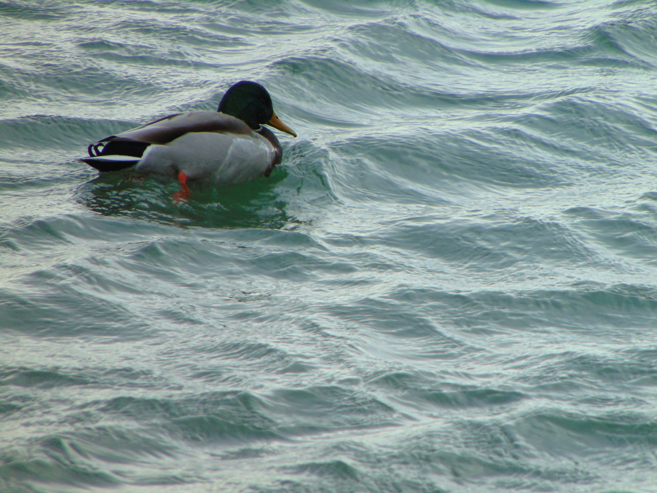 Photo by cestovatelmatt