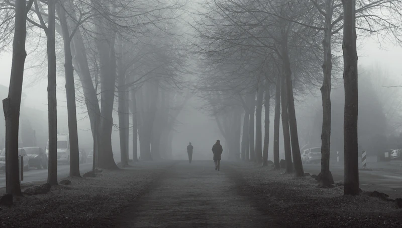 Best Walking Paths and Streets in Dortmund to Explore on Foot