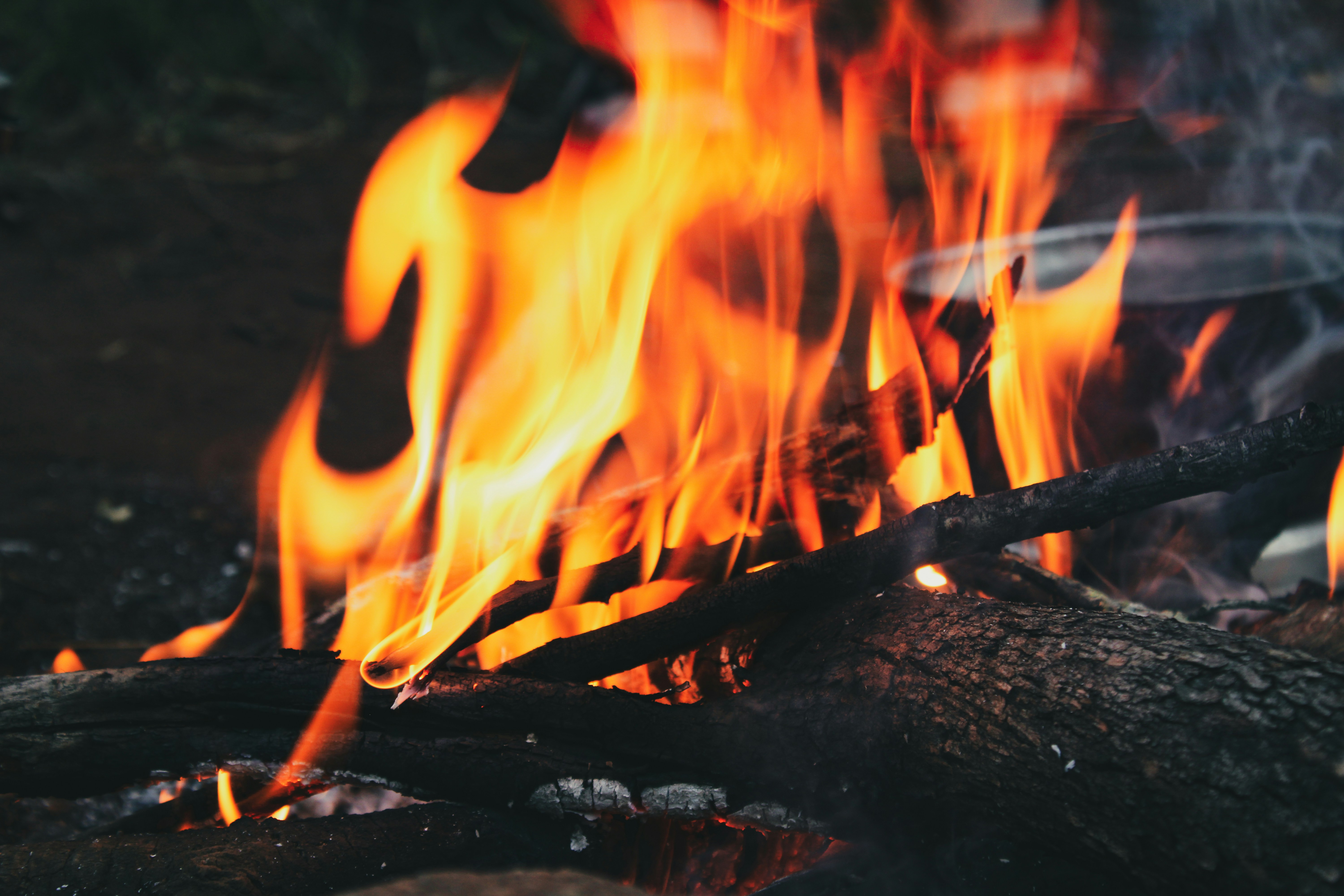 Photo by willcorrigan06