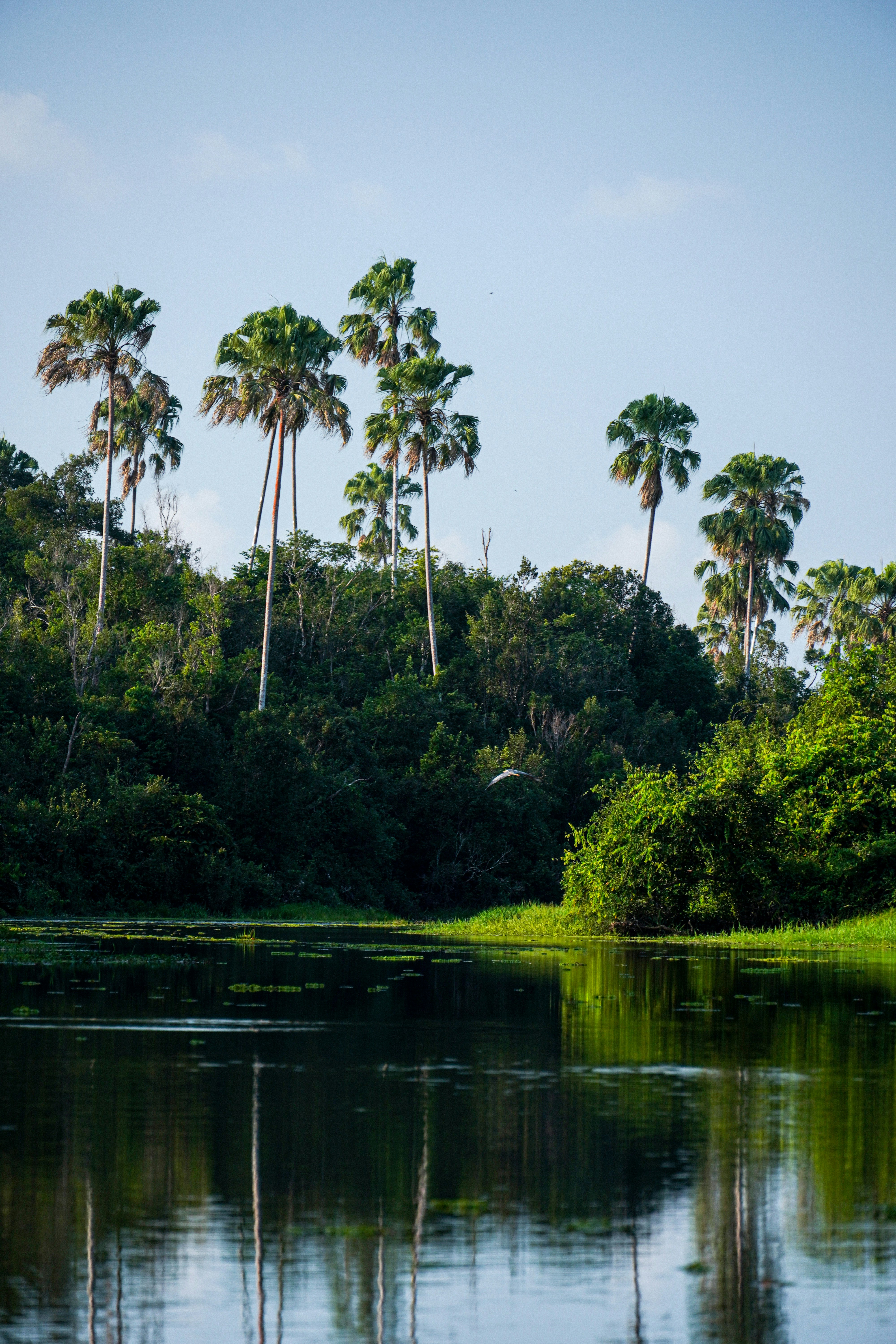 Photo by mutiarasal_