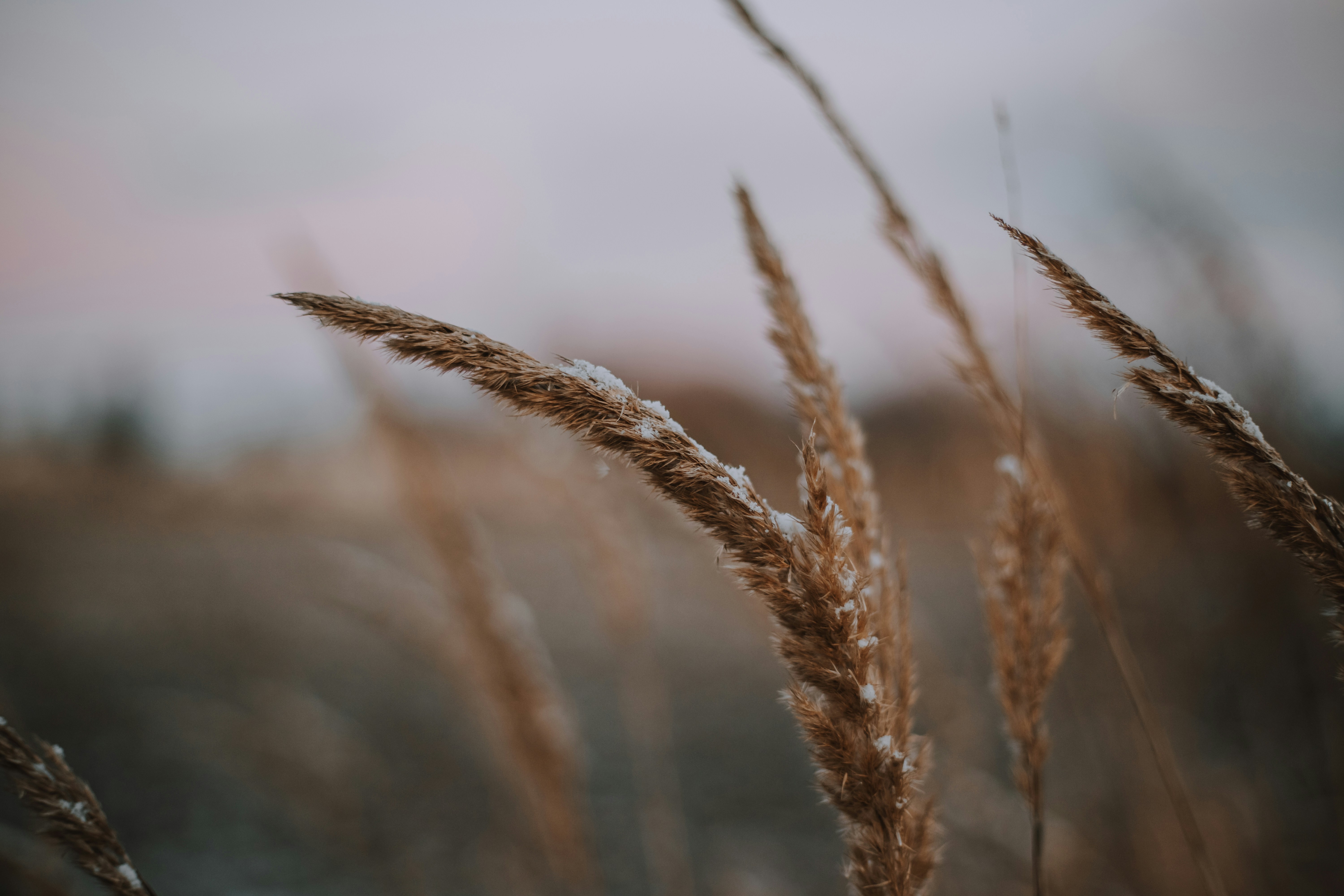 Photo by sylvester_s