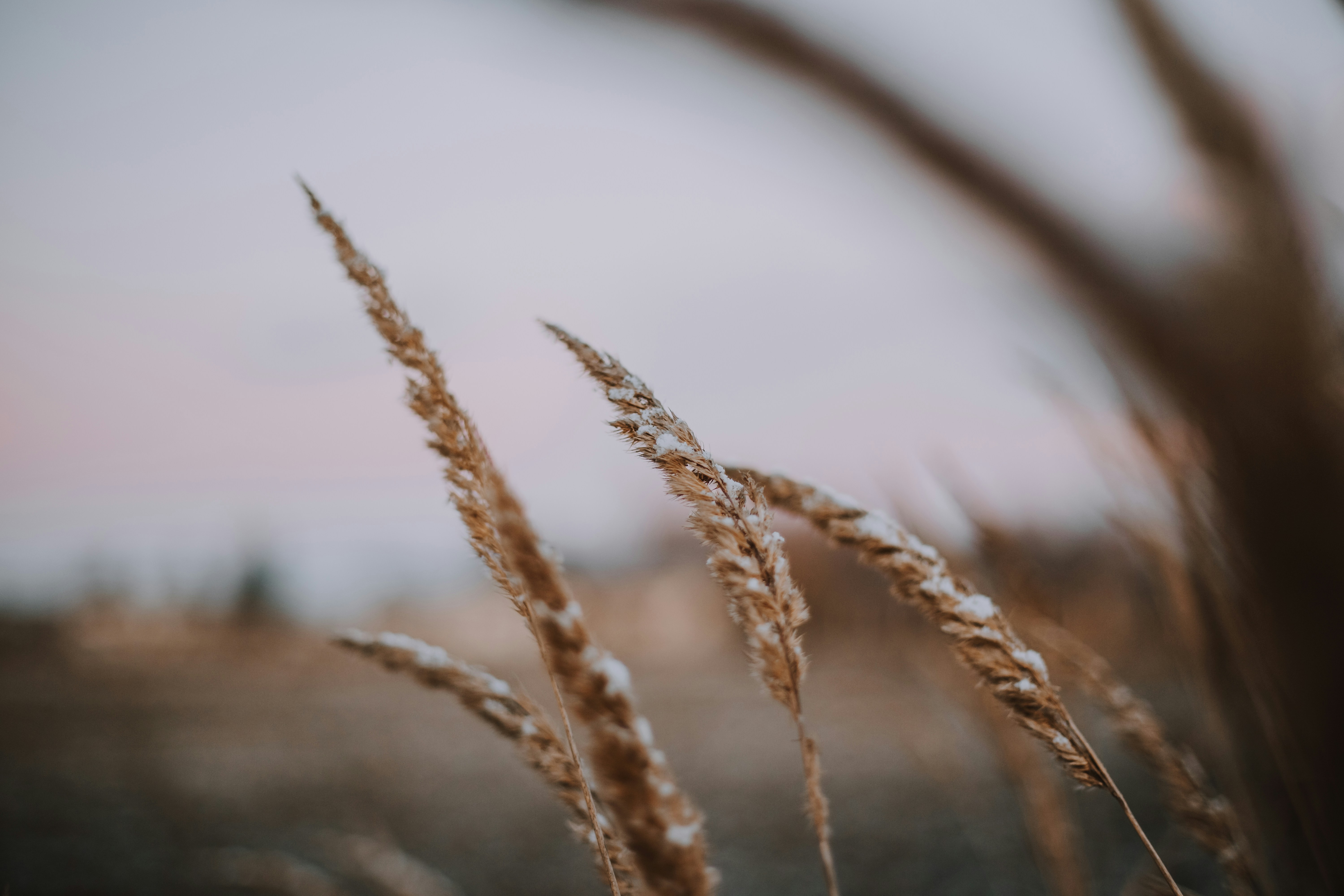 Photo by sylvester_s