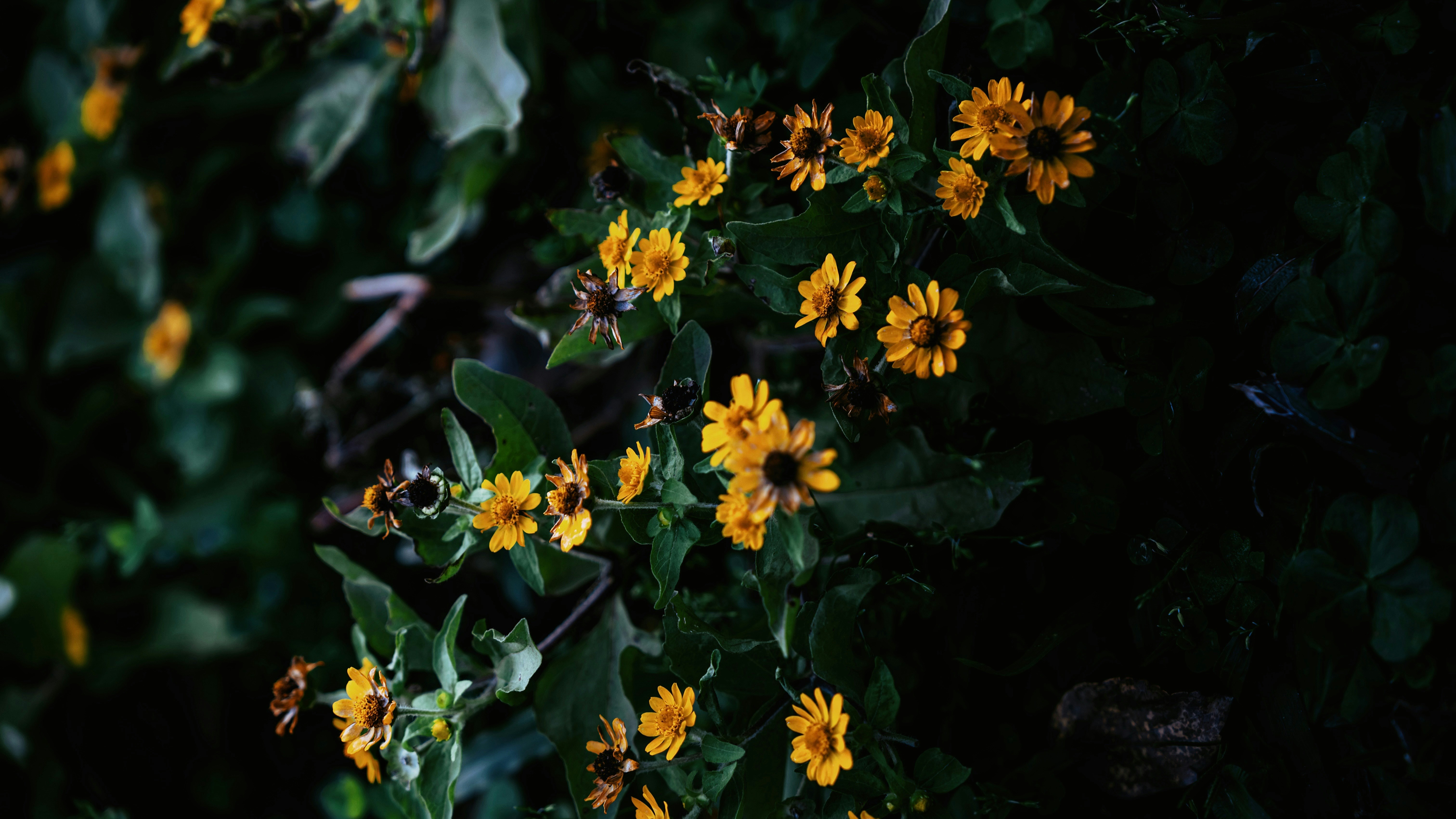 Photo by wangbinghua