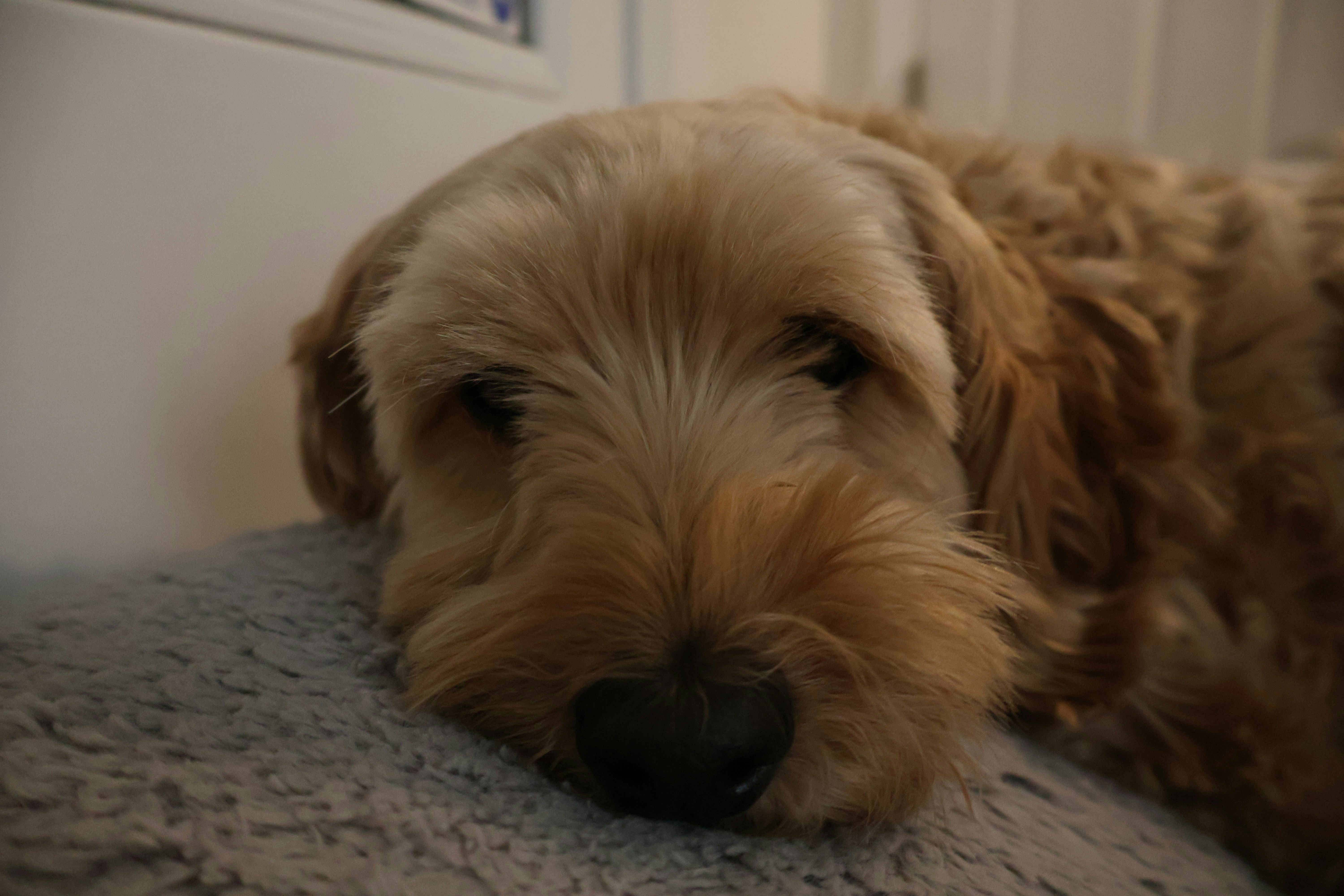 Photo by ishan_visuals