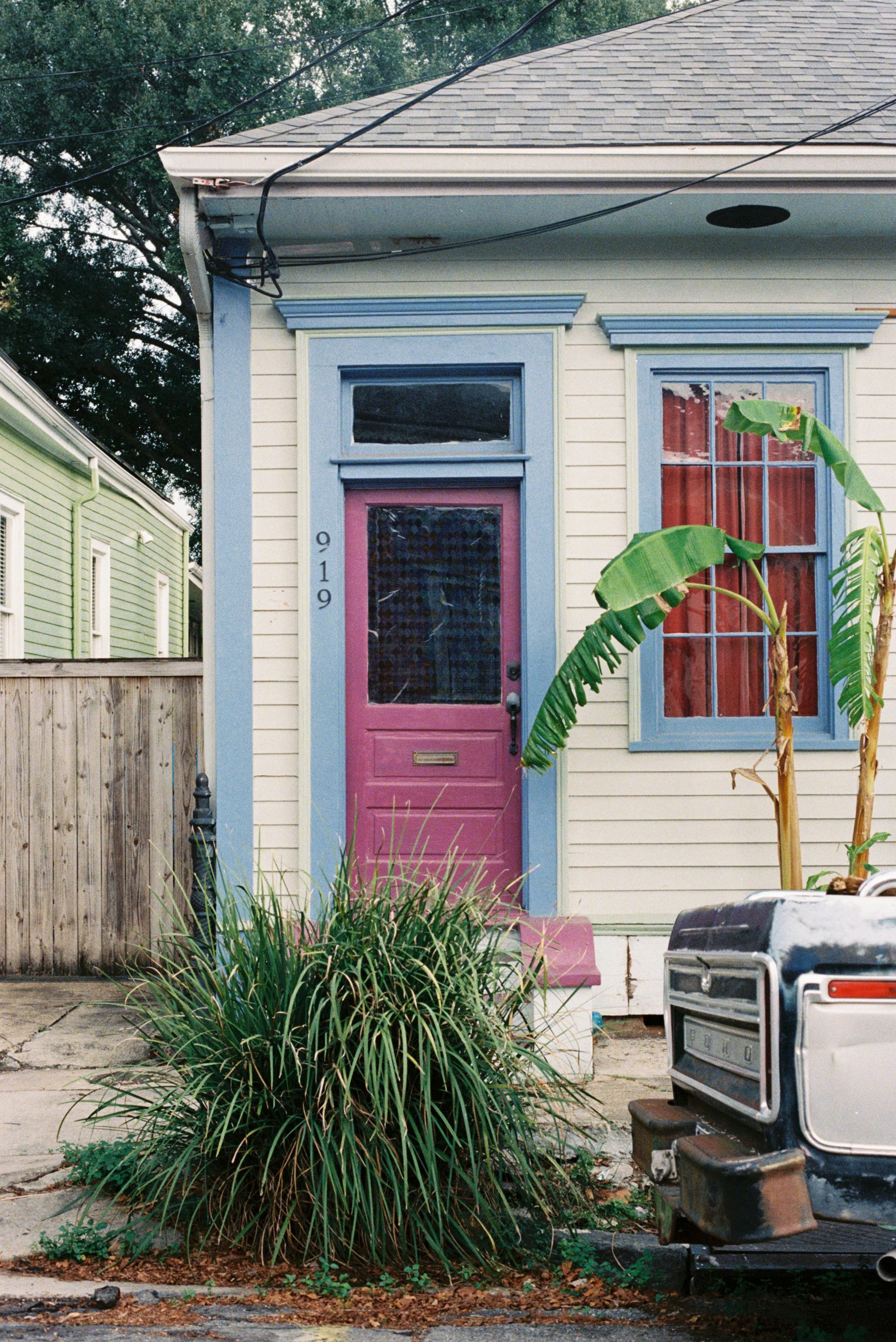 Small house with pink door and banana plant