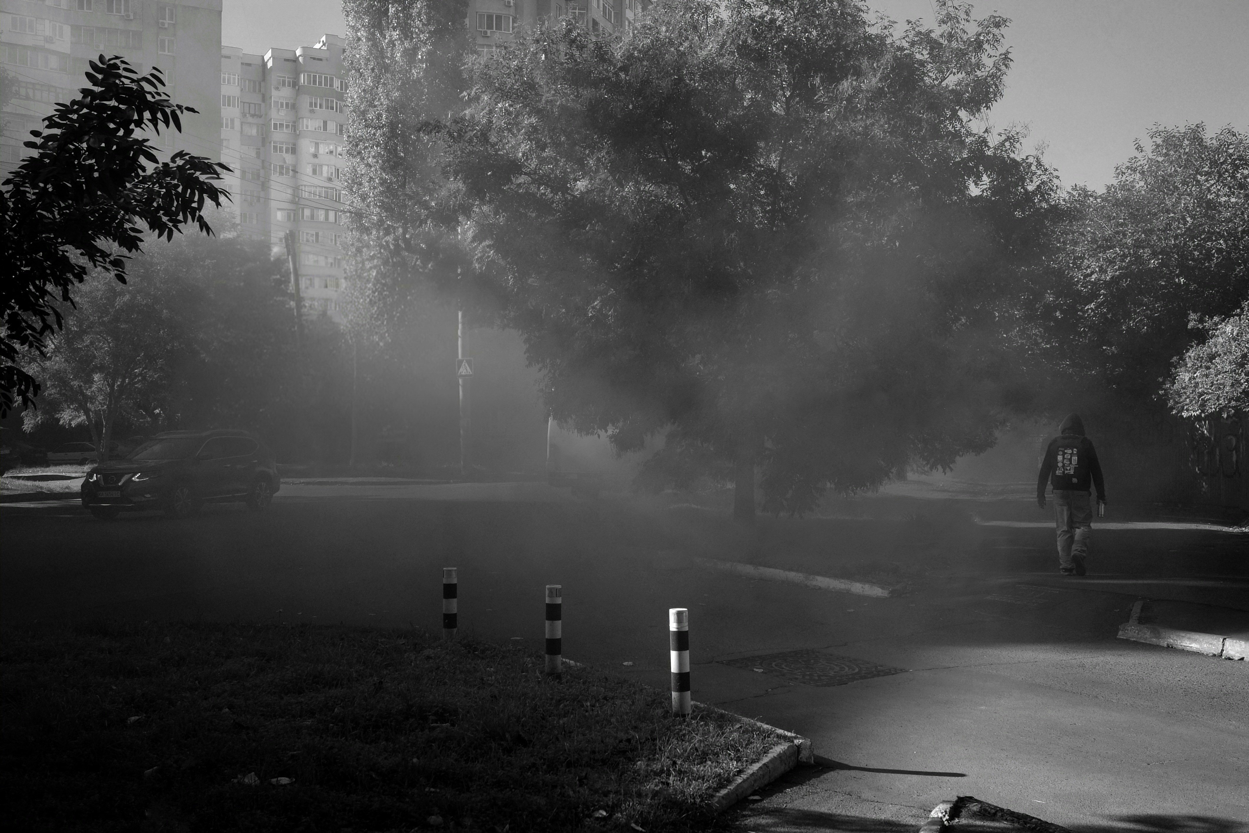 Photo by lvovandrewph