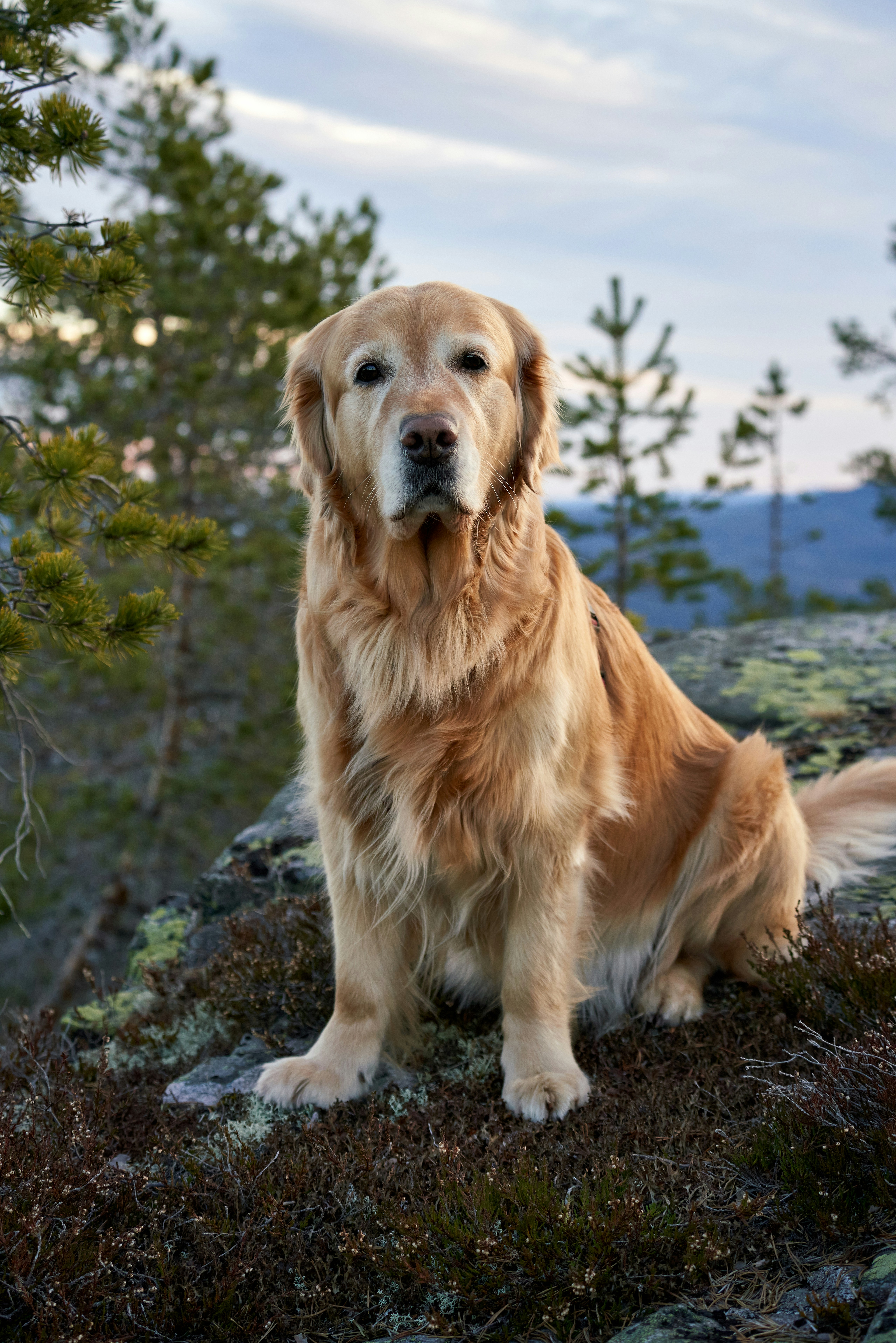 Photo by davotibarna