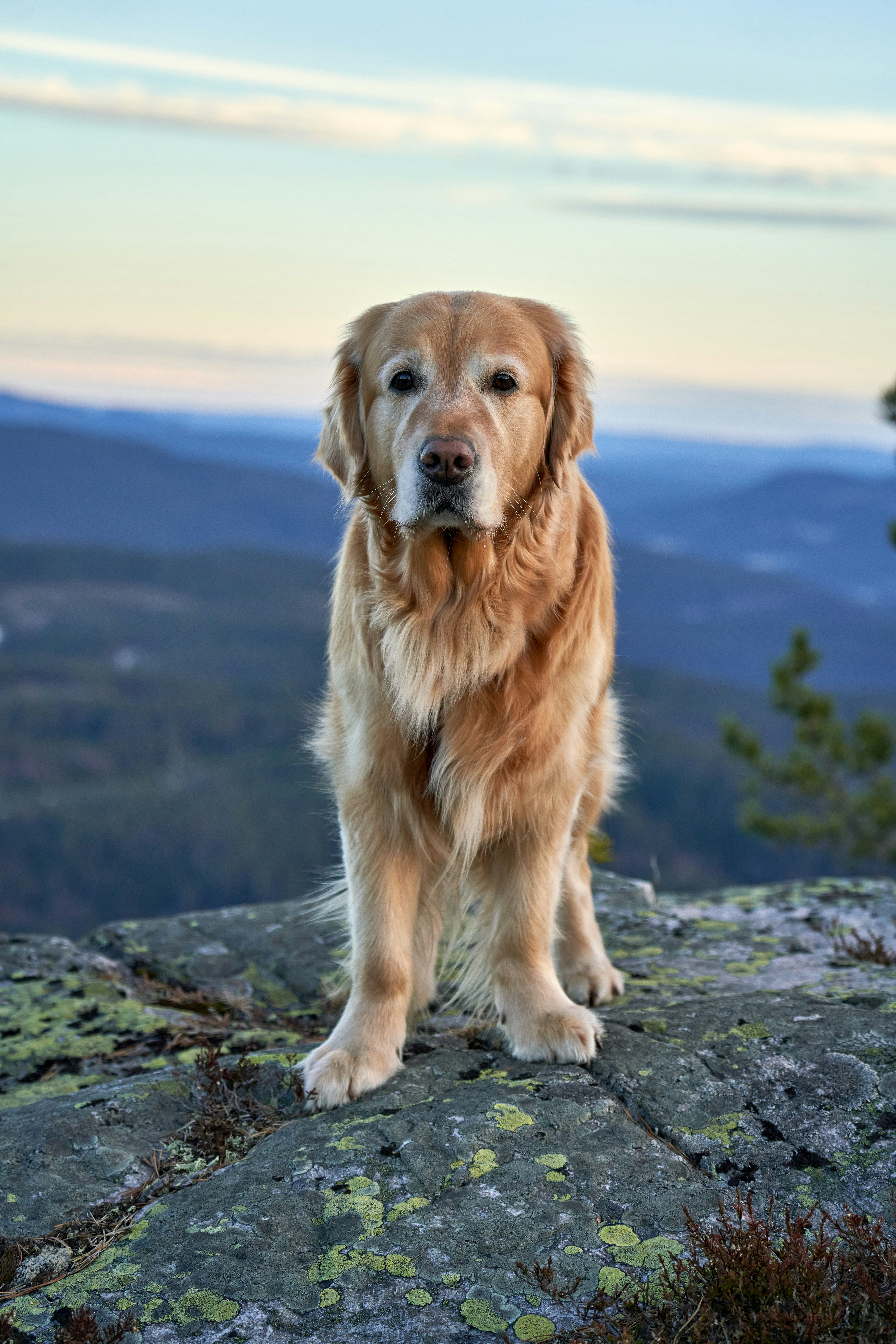 Photo by davotibarna