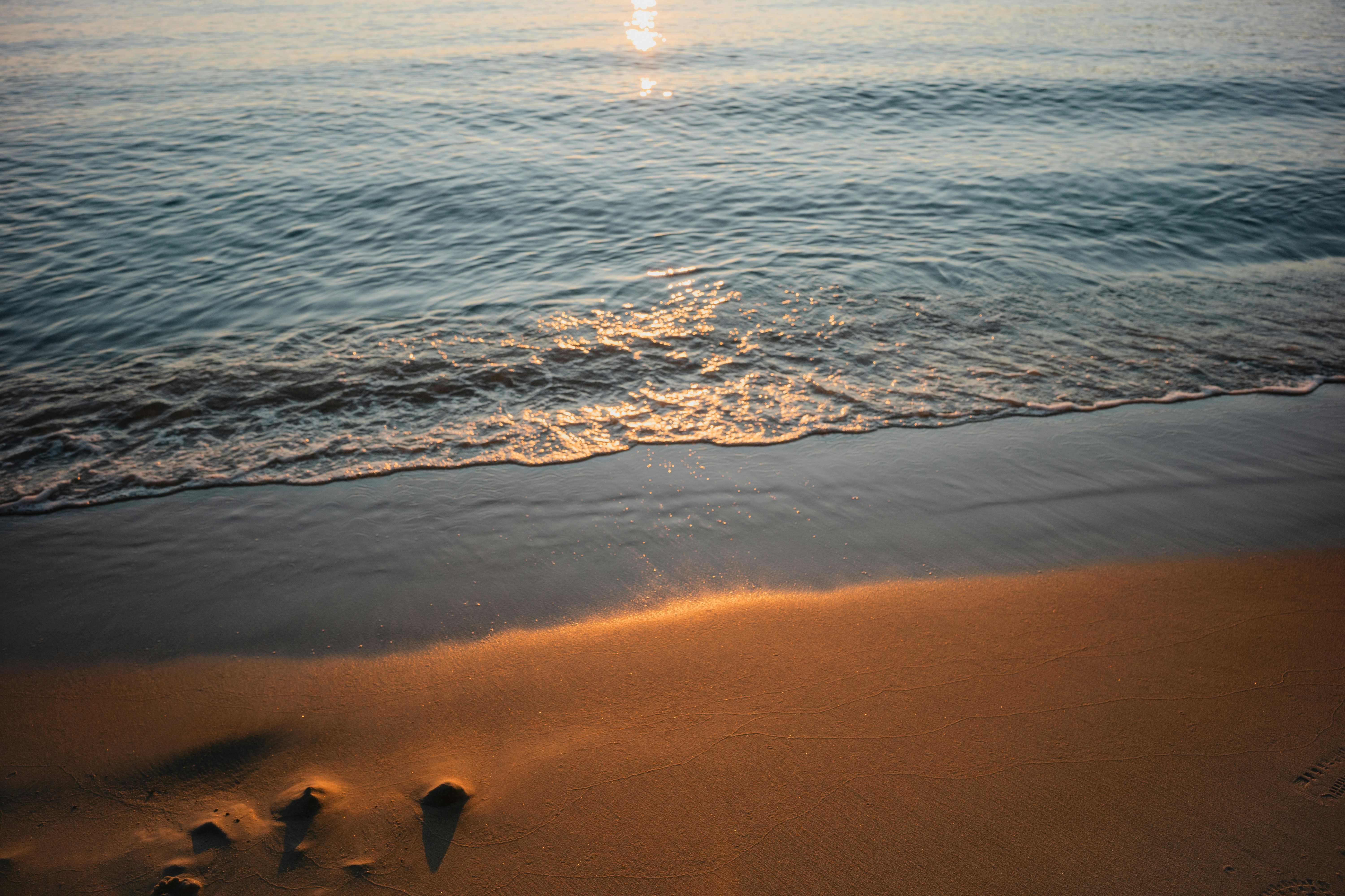 Photo by alexavila777