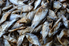 A pile of dried small fish