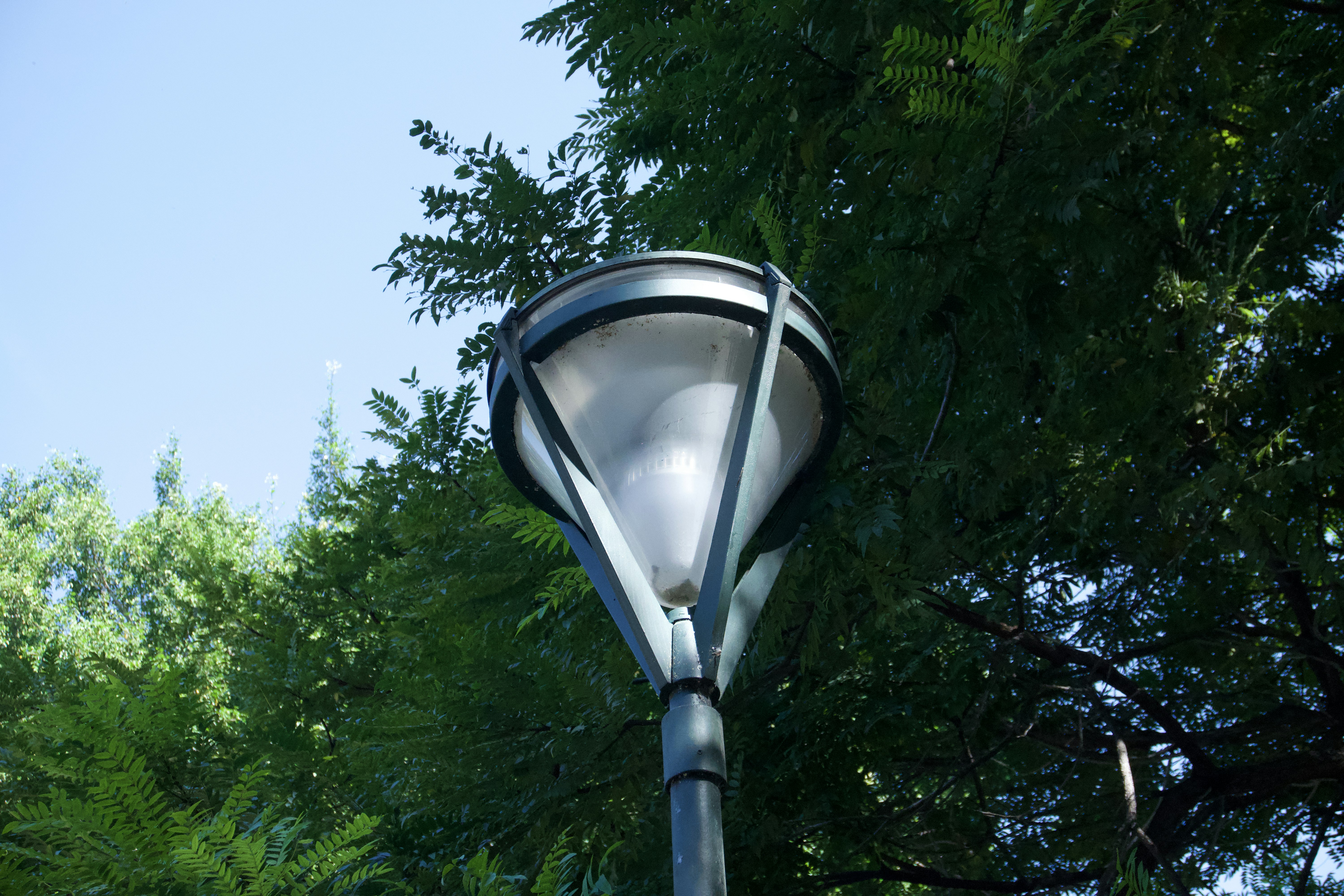 Lamp post