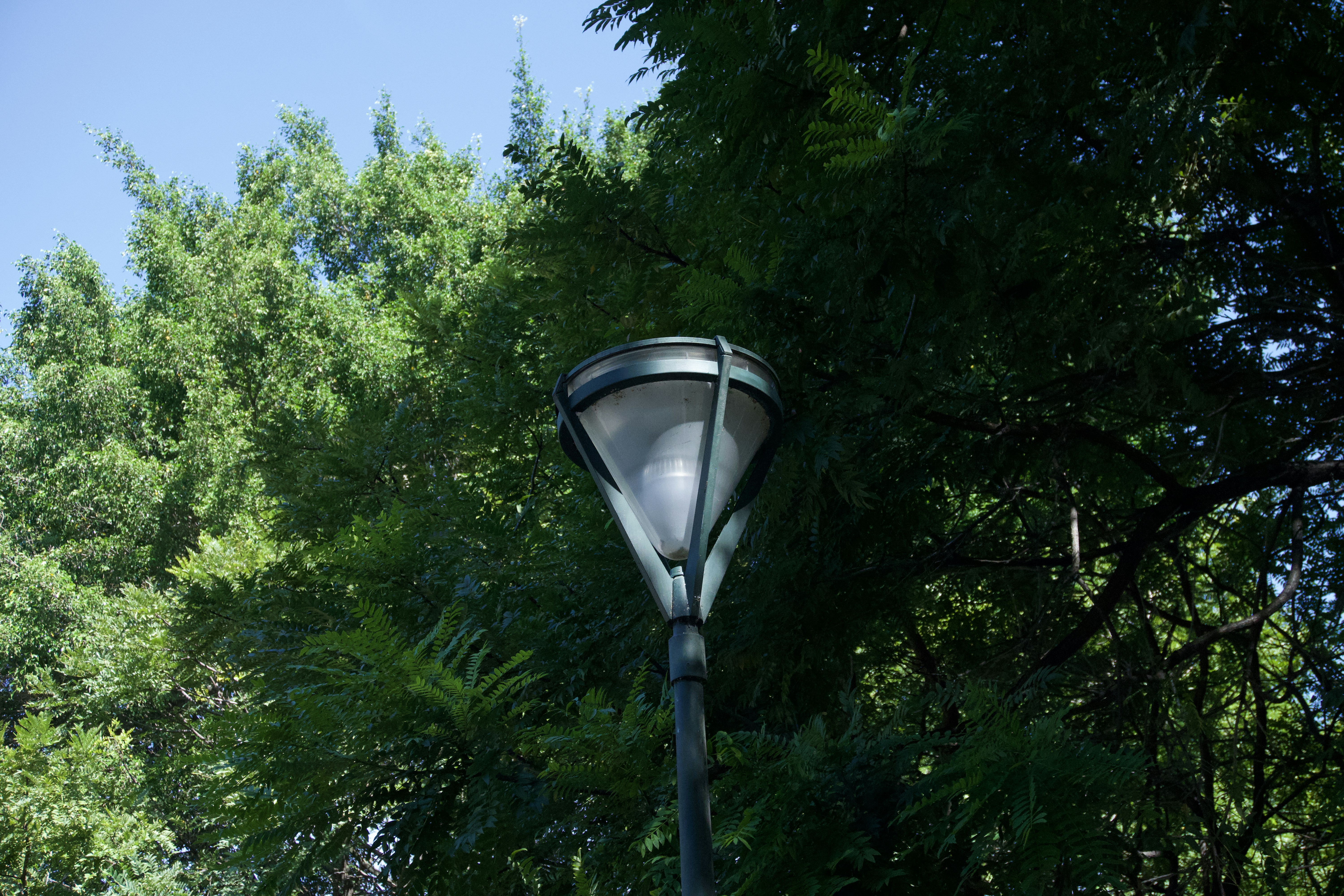 Lamp post
