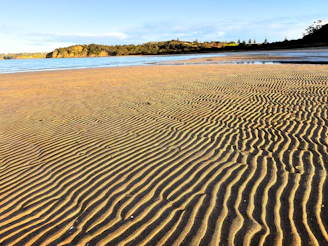 Rippled sand on a beach with calm water.