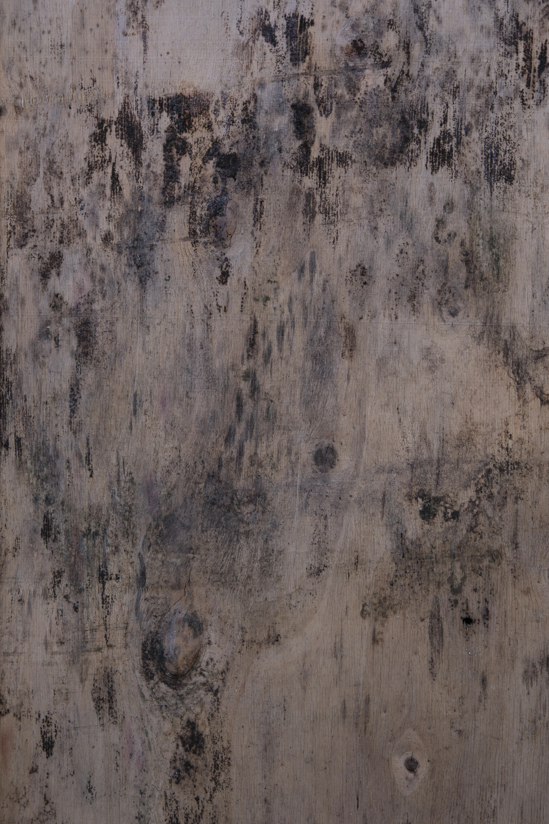 Close-up of weathered, textured wood grain with dark spots.