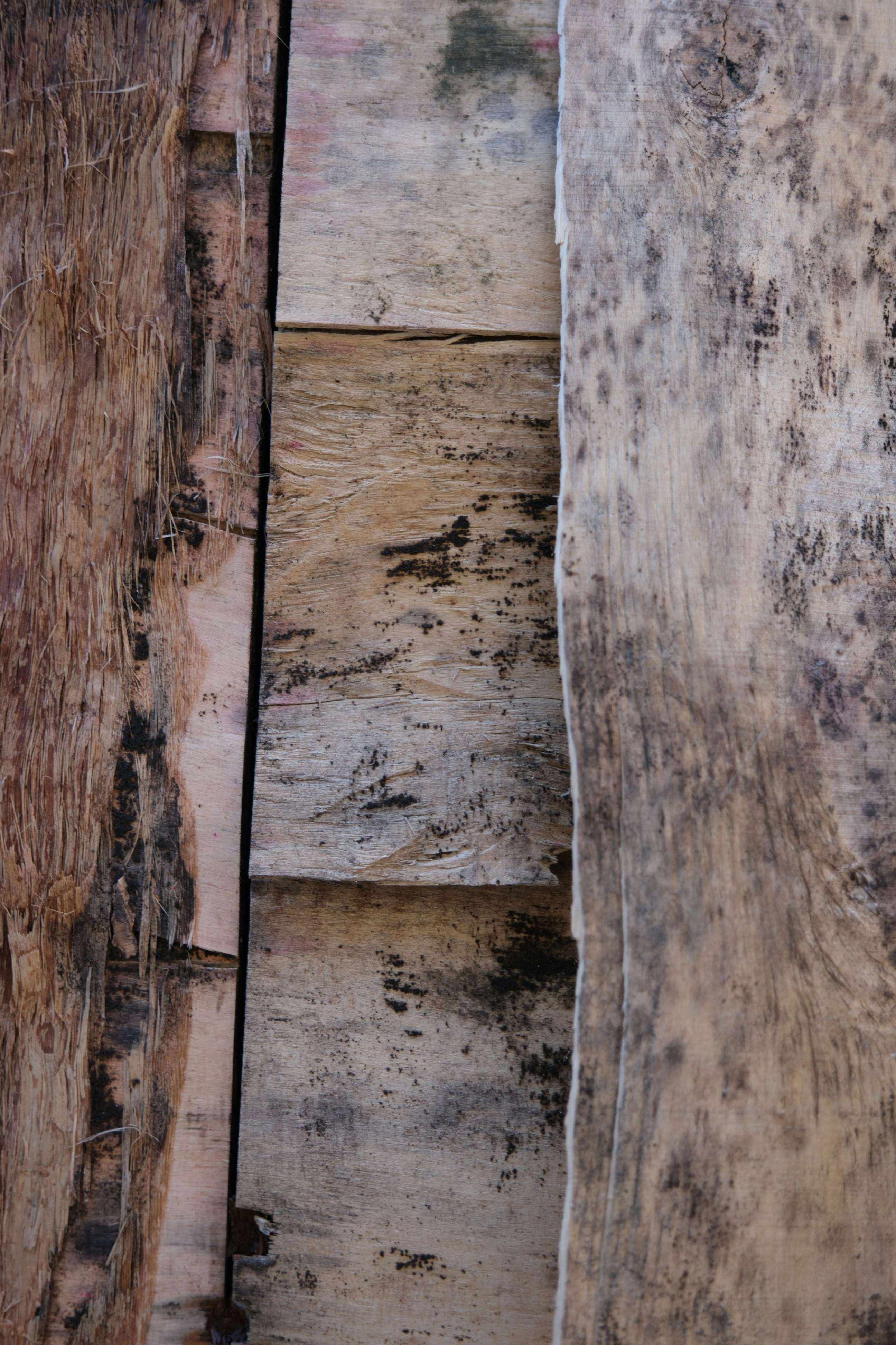 Verwitterte Holzplanken mit rauen Texturen
