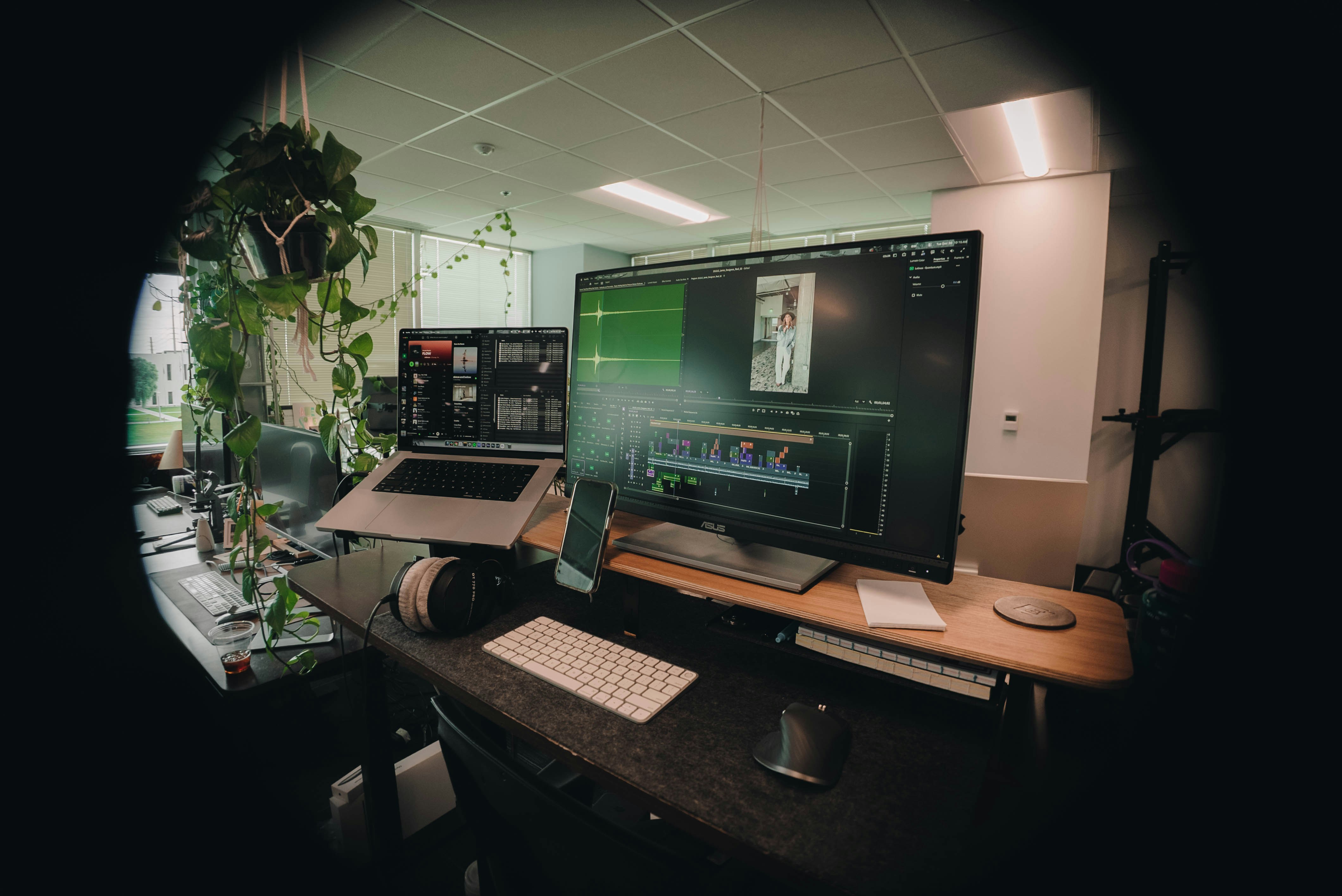 Computer workstation with multiple monitors and plants