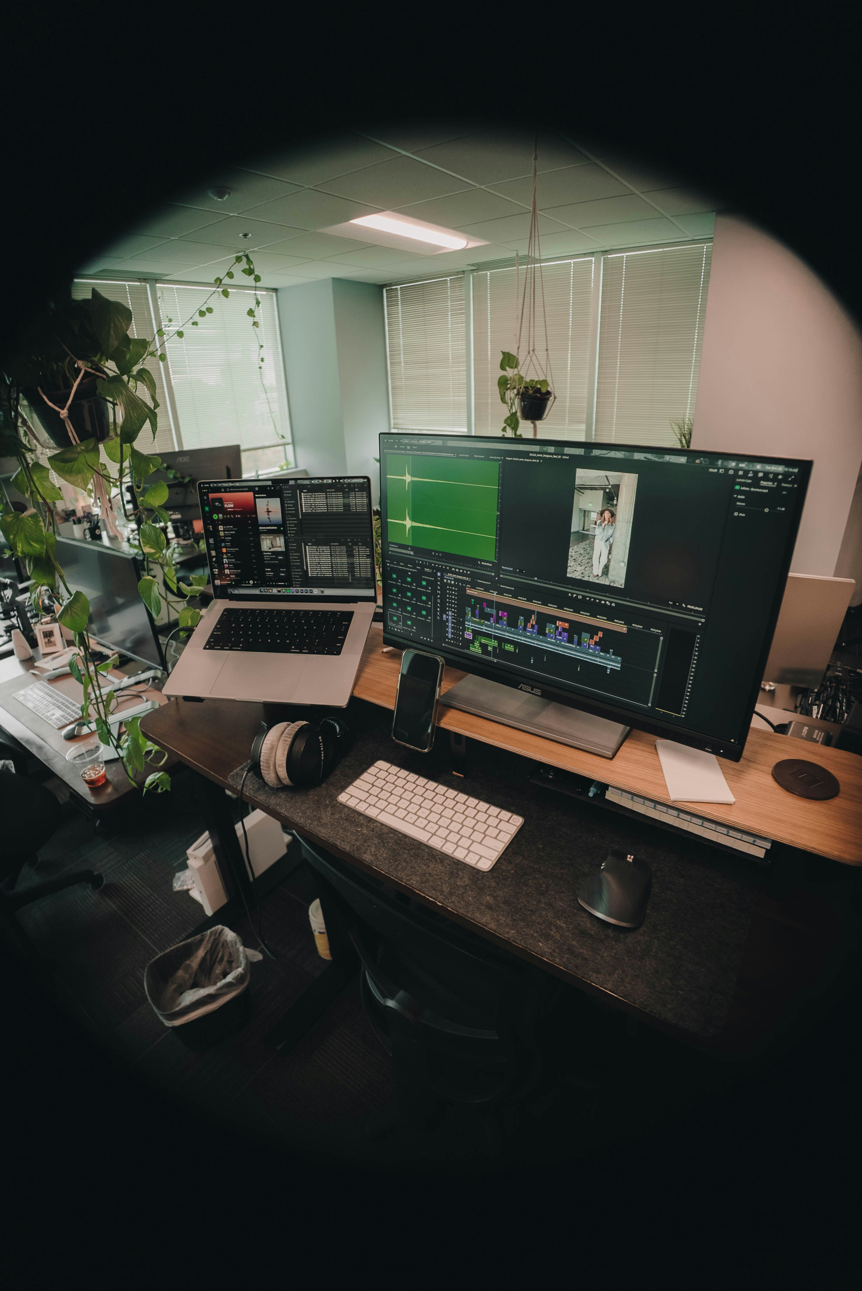 Desk with multiple computer monitors and plants.