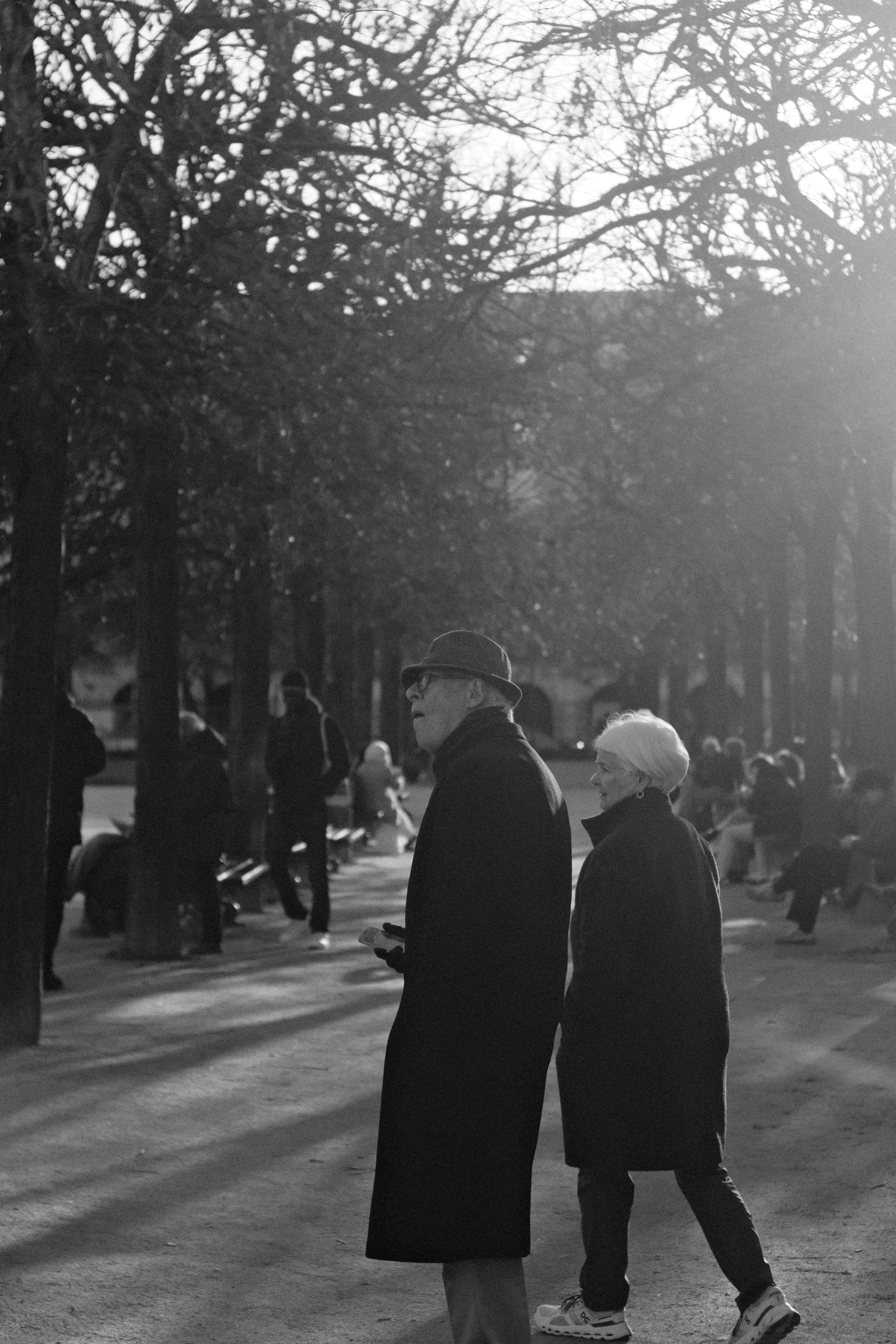 Elderly couple walks in a park at sunset